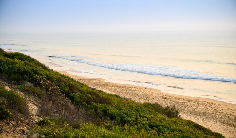 Ninety Mile Beach (Image Credit: Parks Victoria)