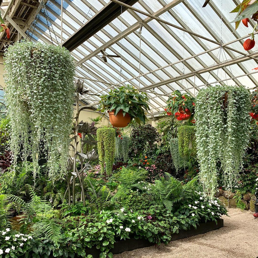 The Conservatory (Image Credit: IG @plant.jungle)