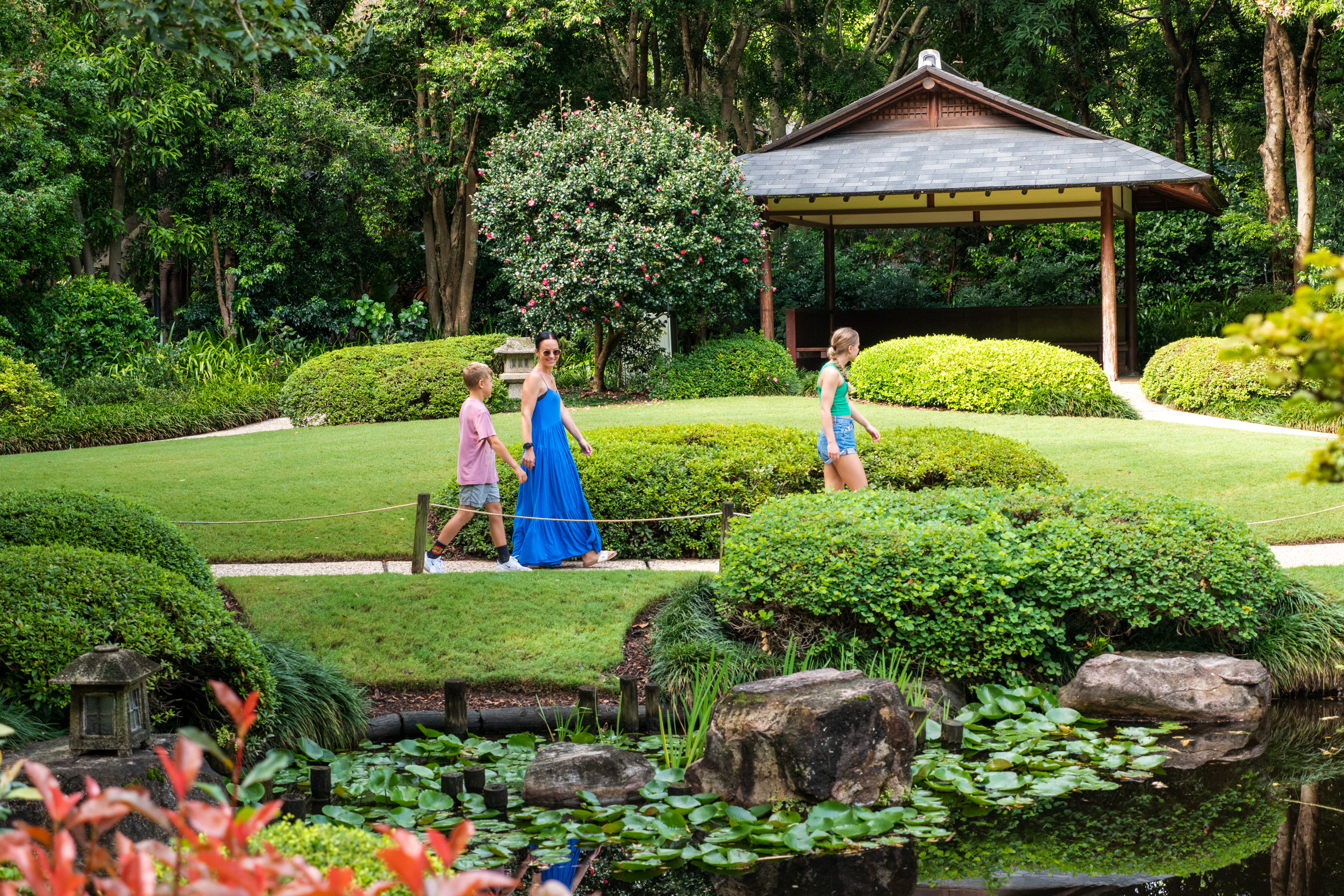 Mount Coot-Tha (Photo credit: Tourism & Events Queensland)