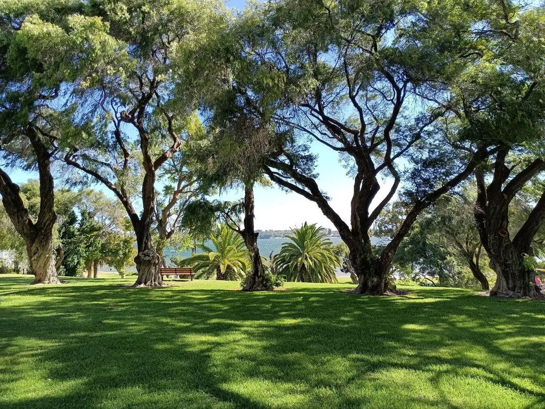 Mrs Herberts Park (Image Credit: IG @perths.parks)
