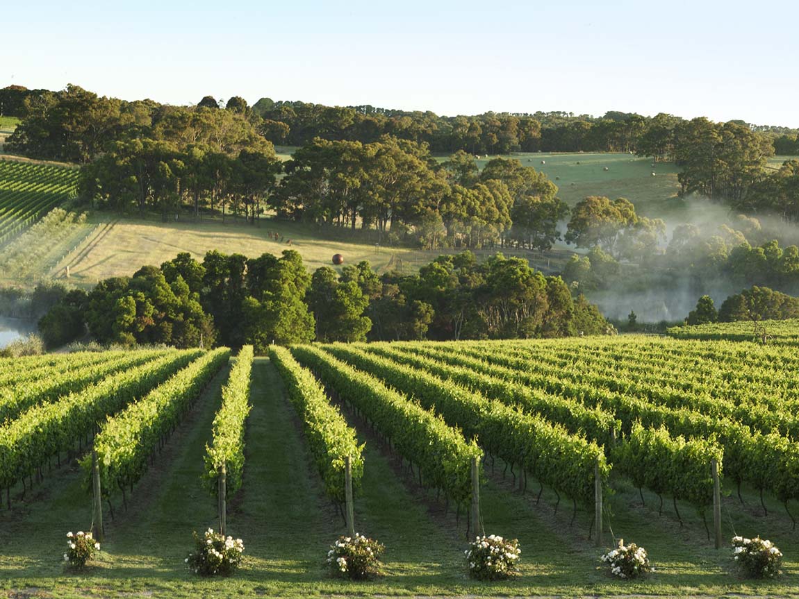 Mornington Peninsula