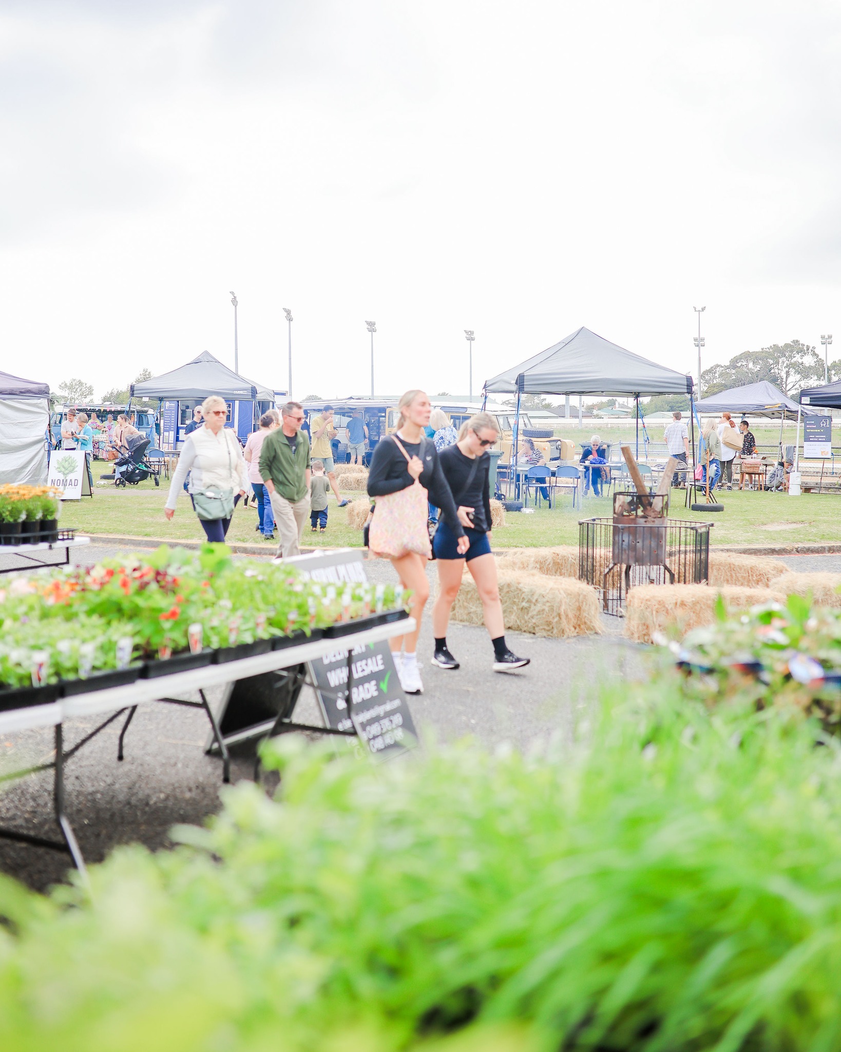 Devonport Farmers Market