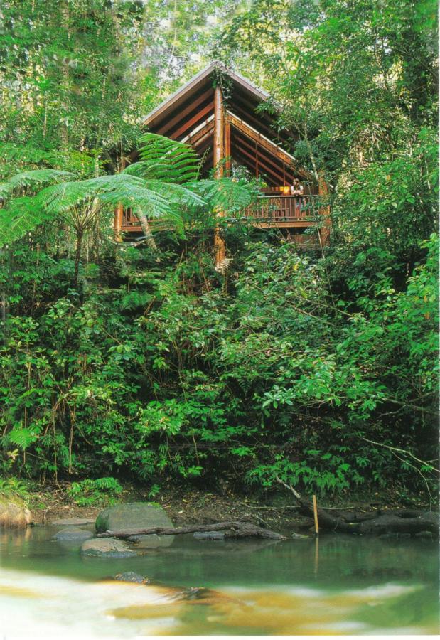 Canopy Treehouses