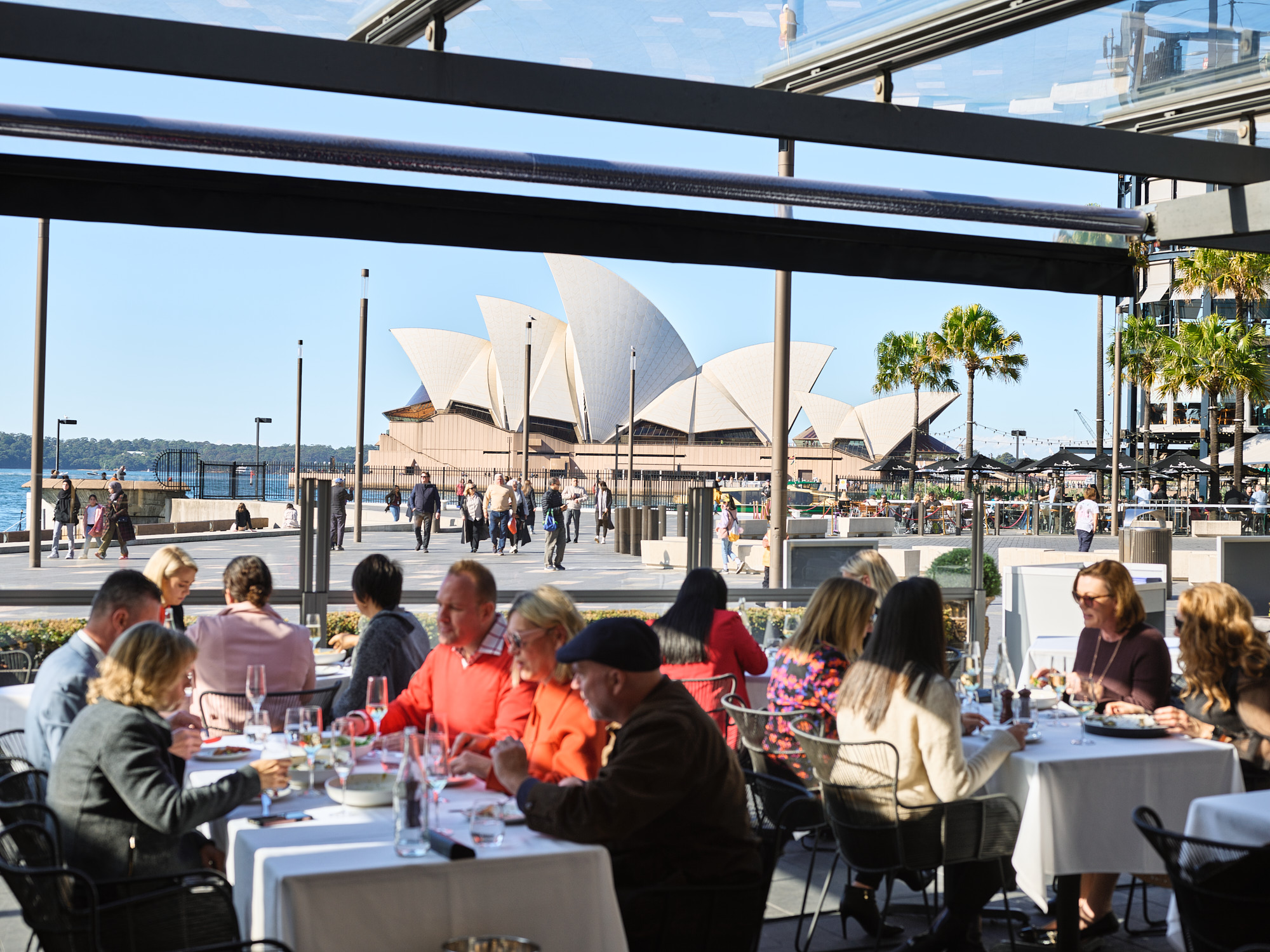 Harbourfront Seafood Restaurant