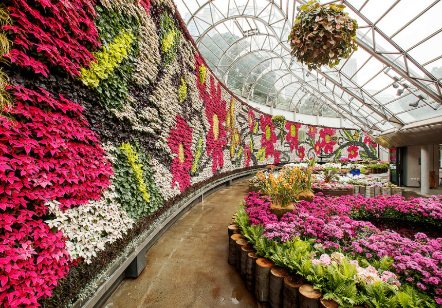 Royal Botanic Gardens