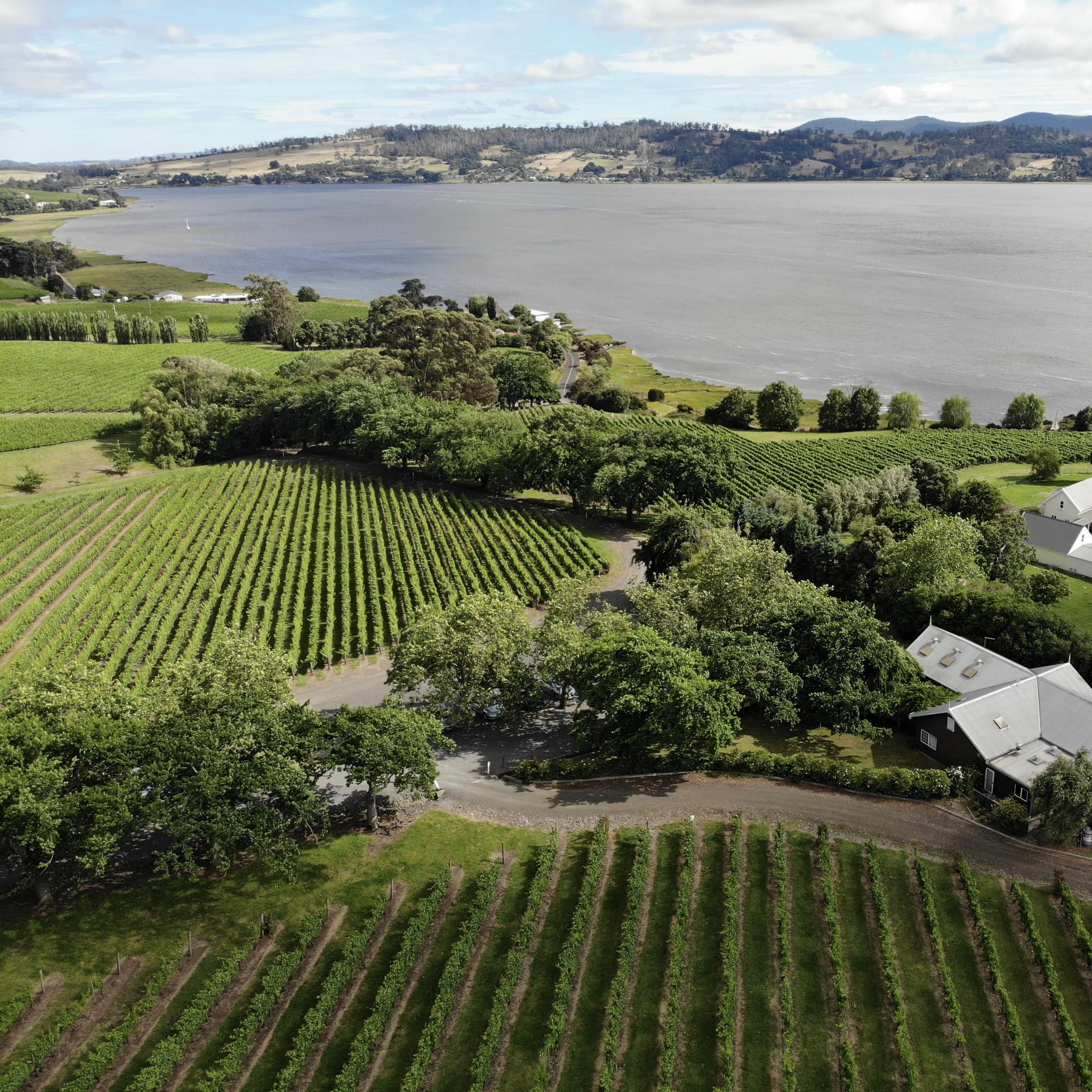 Ninth Island in Tamar Valley