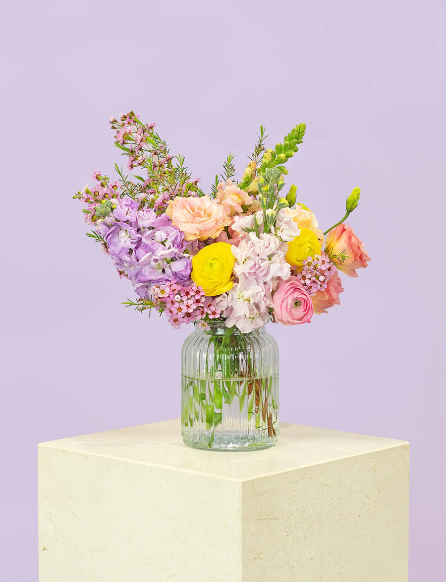 Daily Blooms
