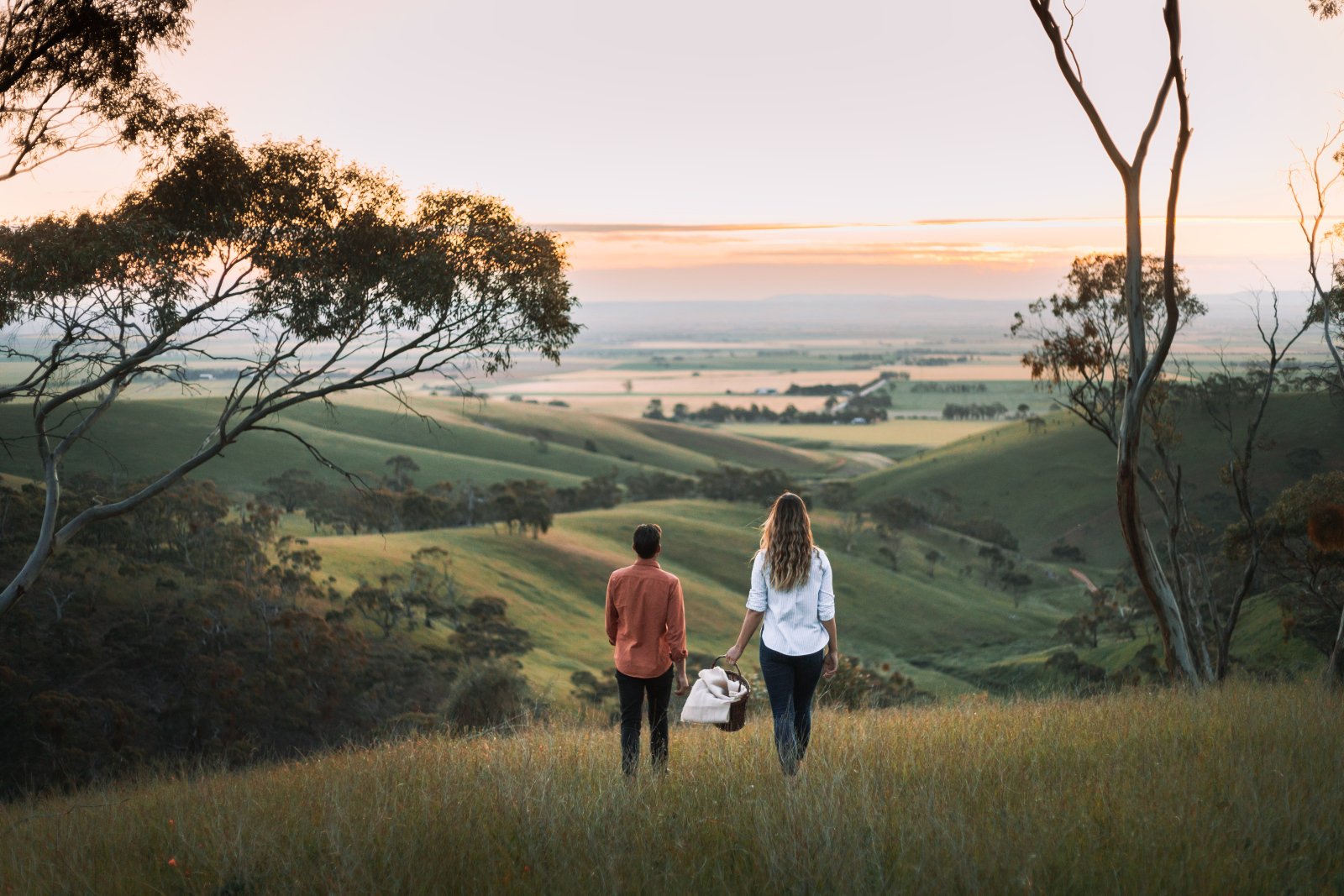 Clare Valley (Photo credit: South Australian Tourism Commission & Harry Vick)