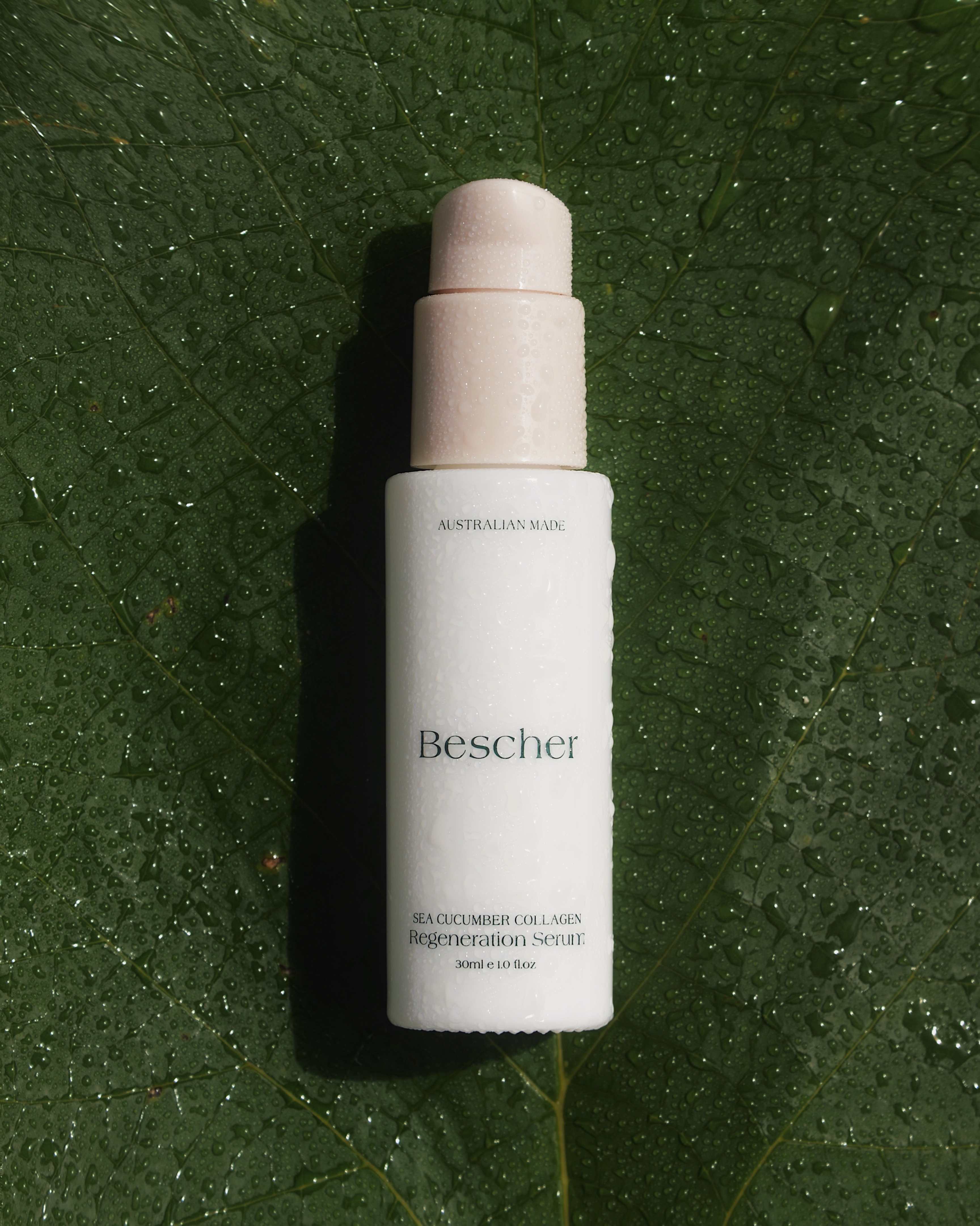 Bescher Beauty
