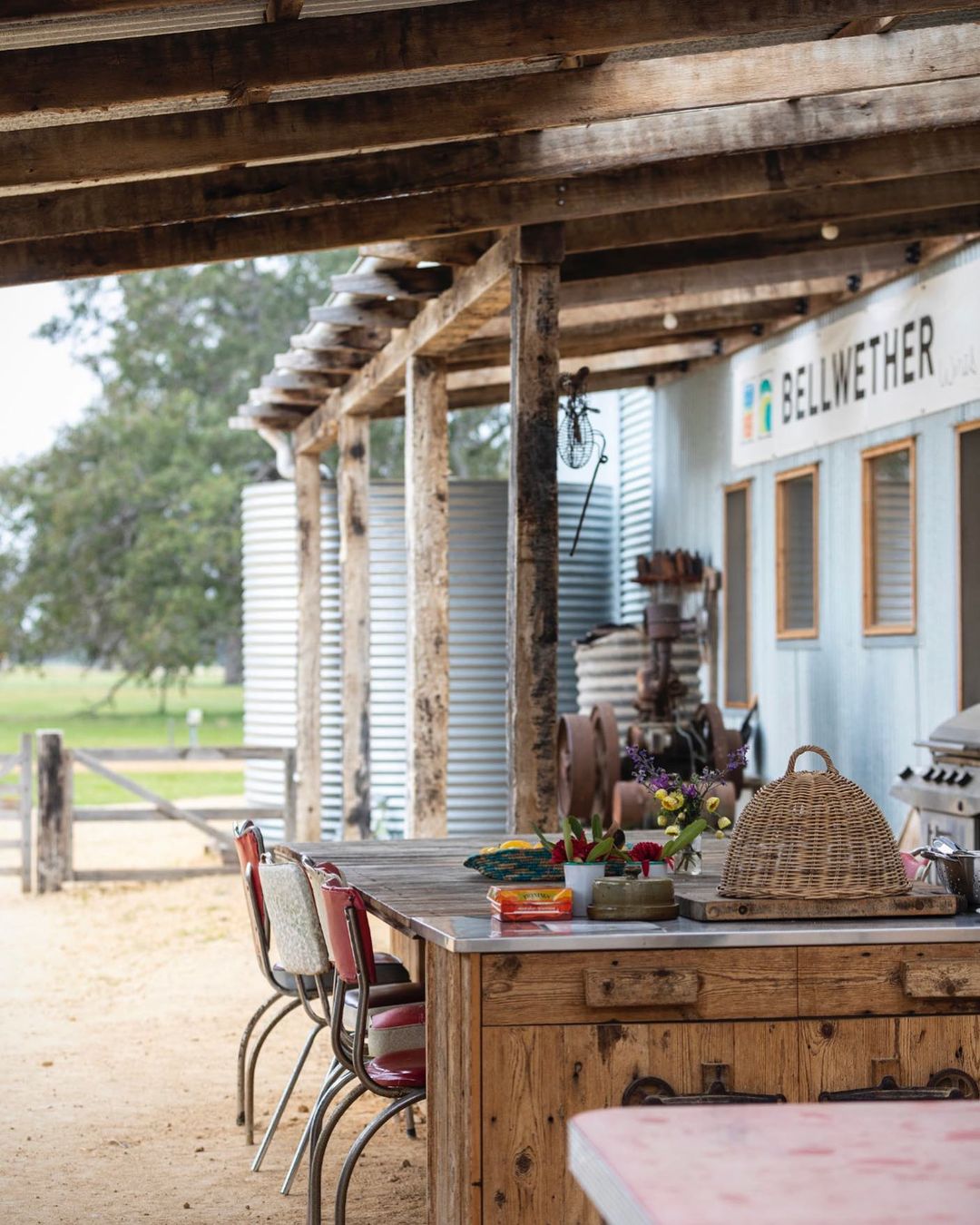 Bellwether Wines