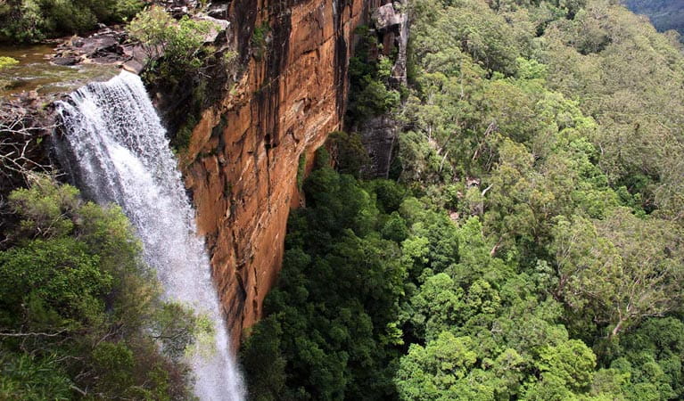 Fitzroy Falls (Image Credit: NSW National Park)