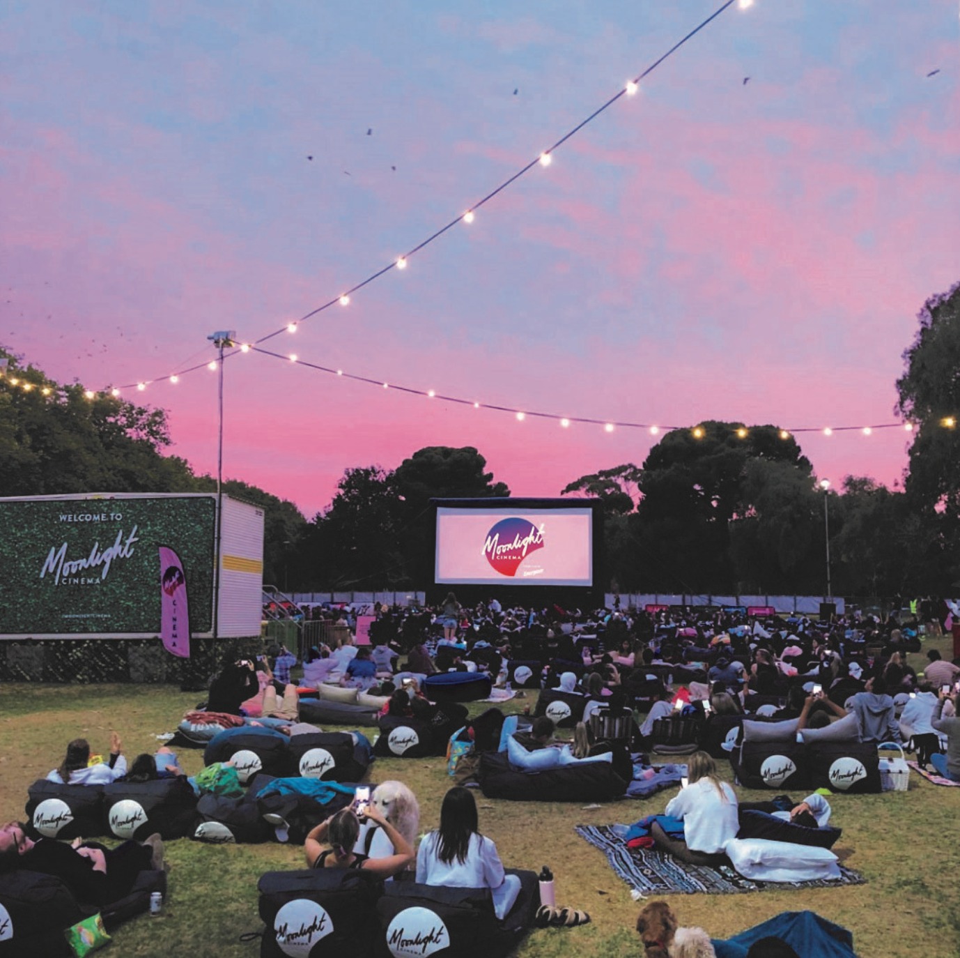 Moonlight Cinema