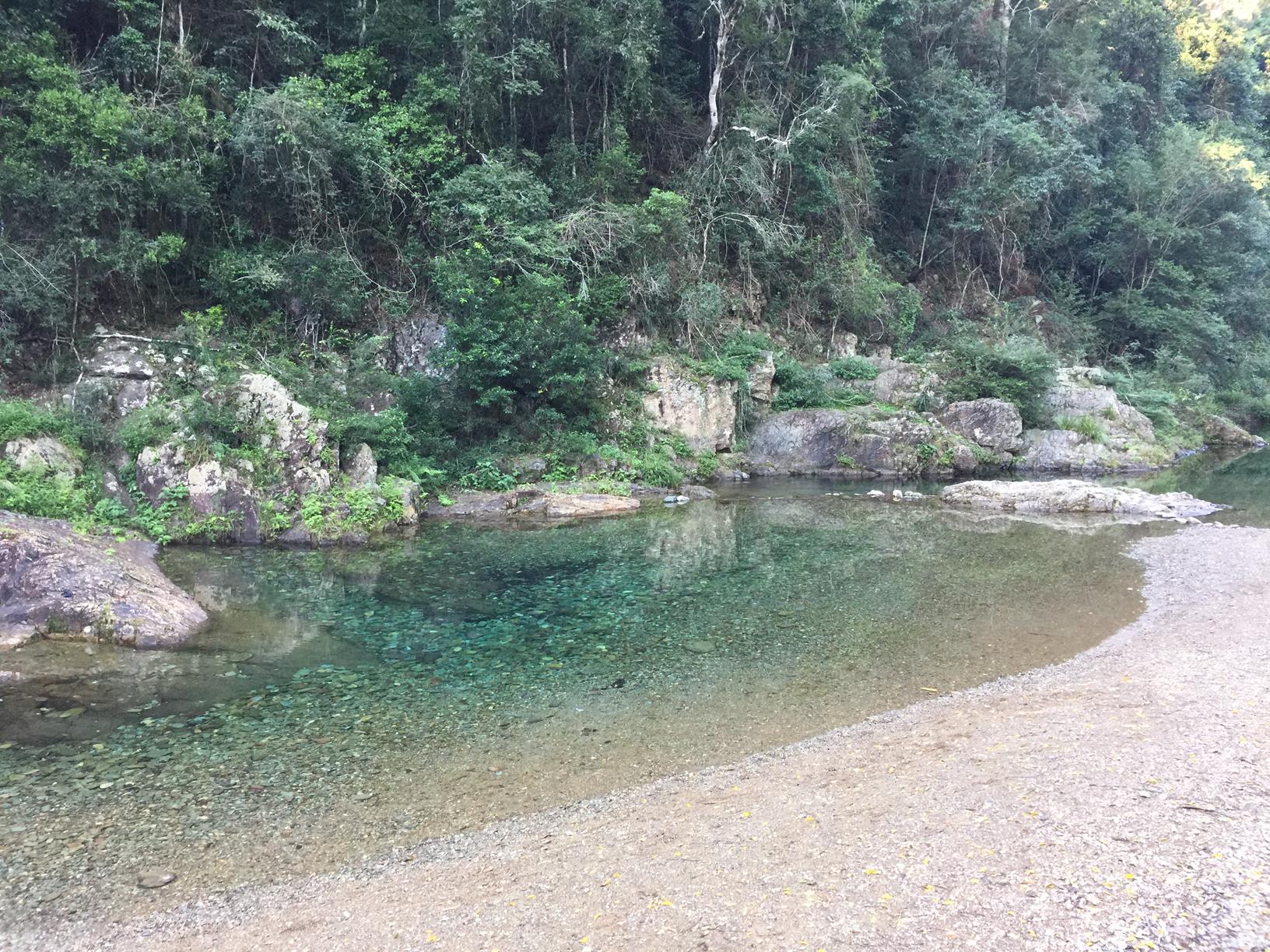 Booloumba Creek (Photo Credit: Adventure Sunshine Coast)