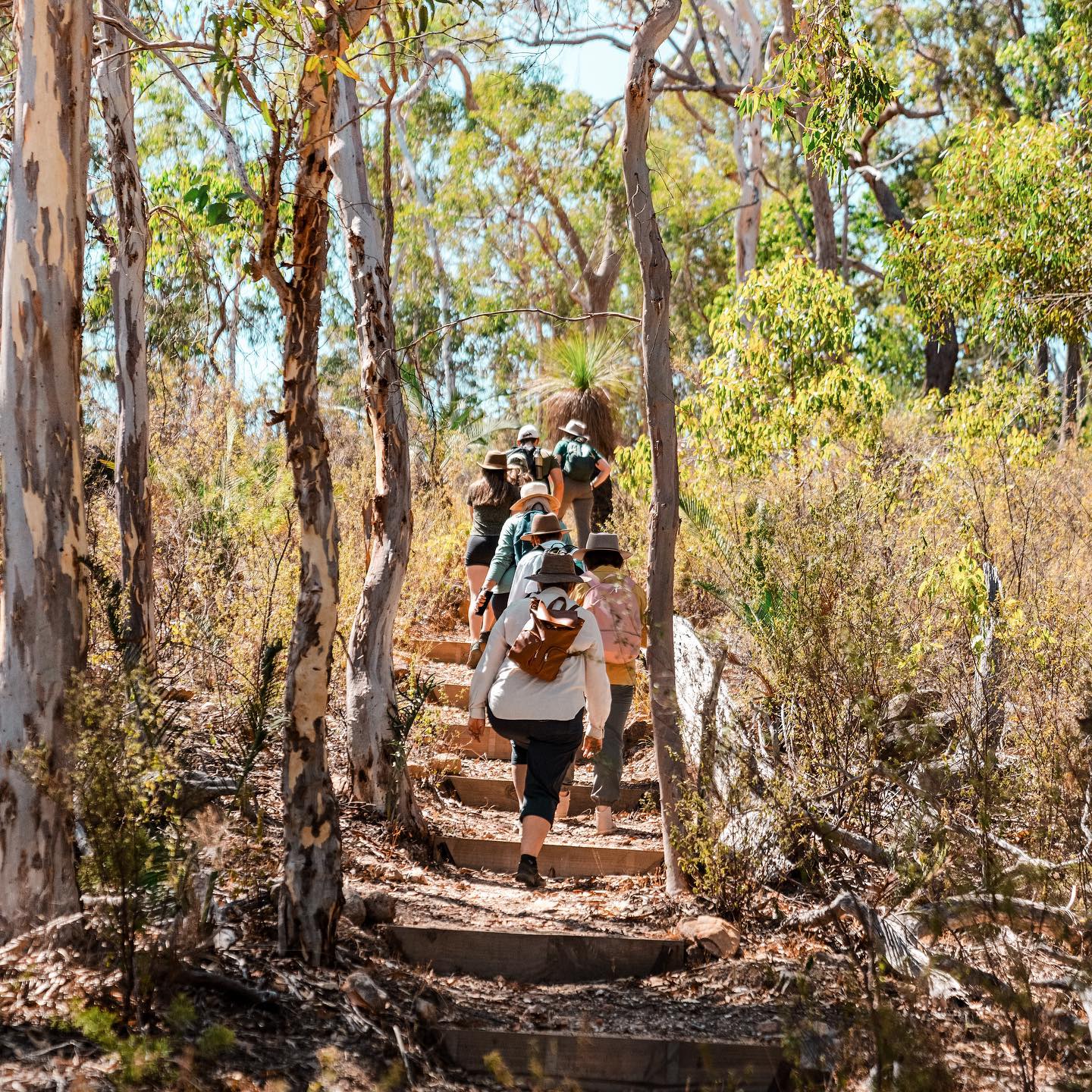 Paruna Wildlife Sanctuary (Image Credit: The Hike Collective)