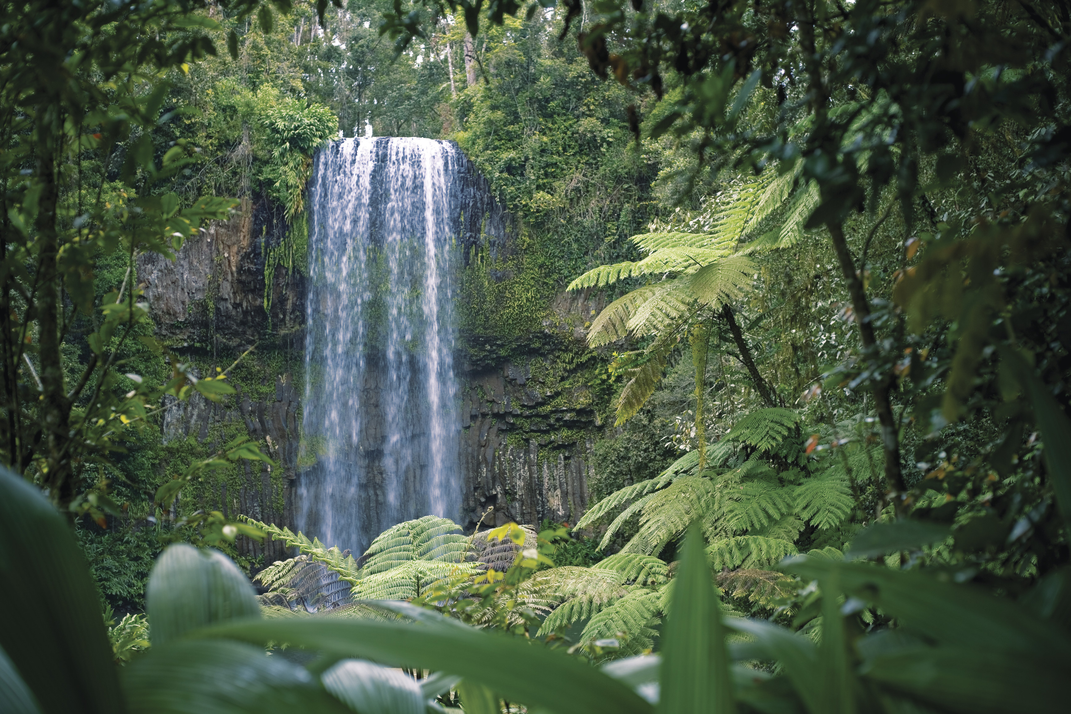 Miilla Miilla Falls, Cairns (Image Credit: Tourism and Events Queensland)