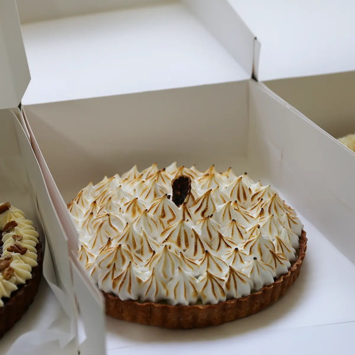 Live A Little Gelato