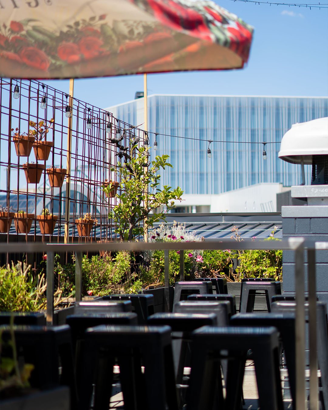 Suburban Dining & Rooftop