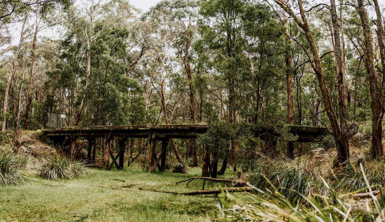 The Domino Rail Trail (Image Credit: Daylesford Macedon Life)