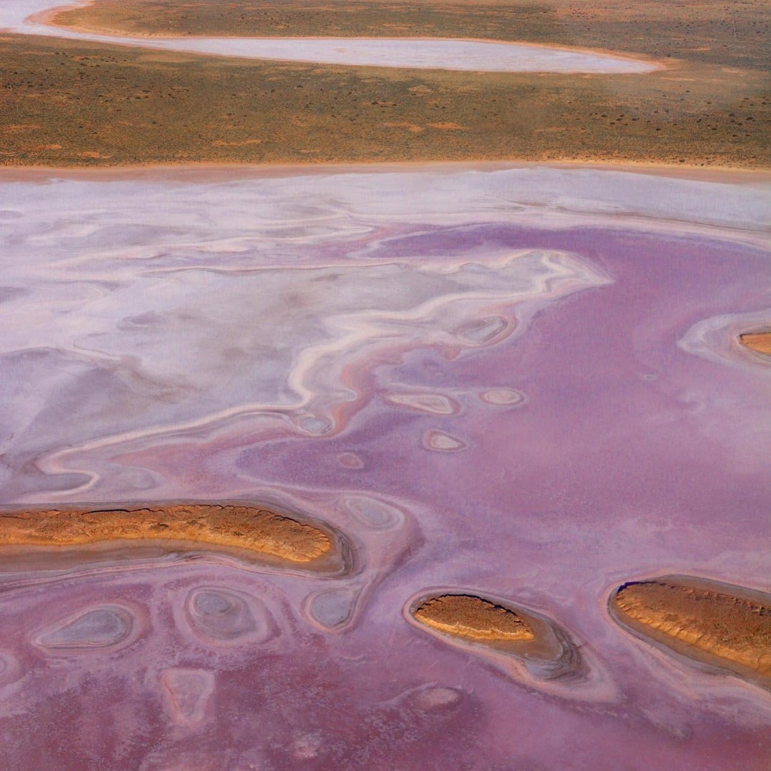 Lake Eyre (Image Credit: Elfie Snaps) 
