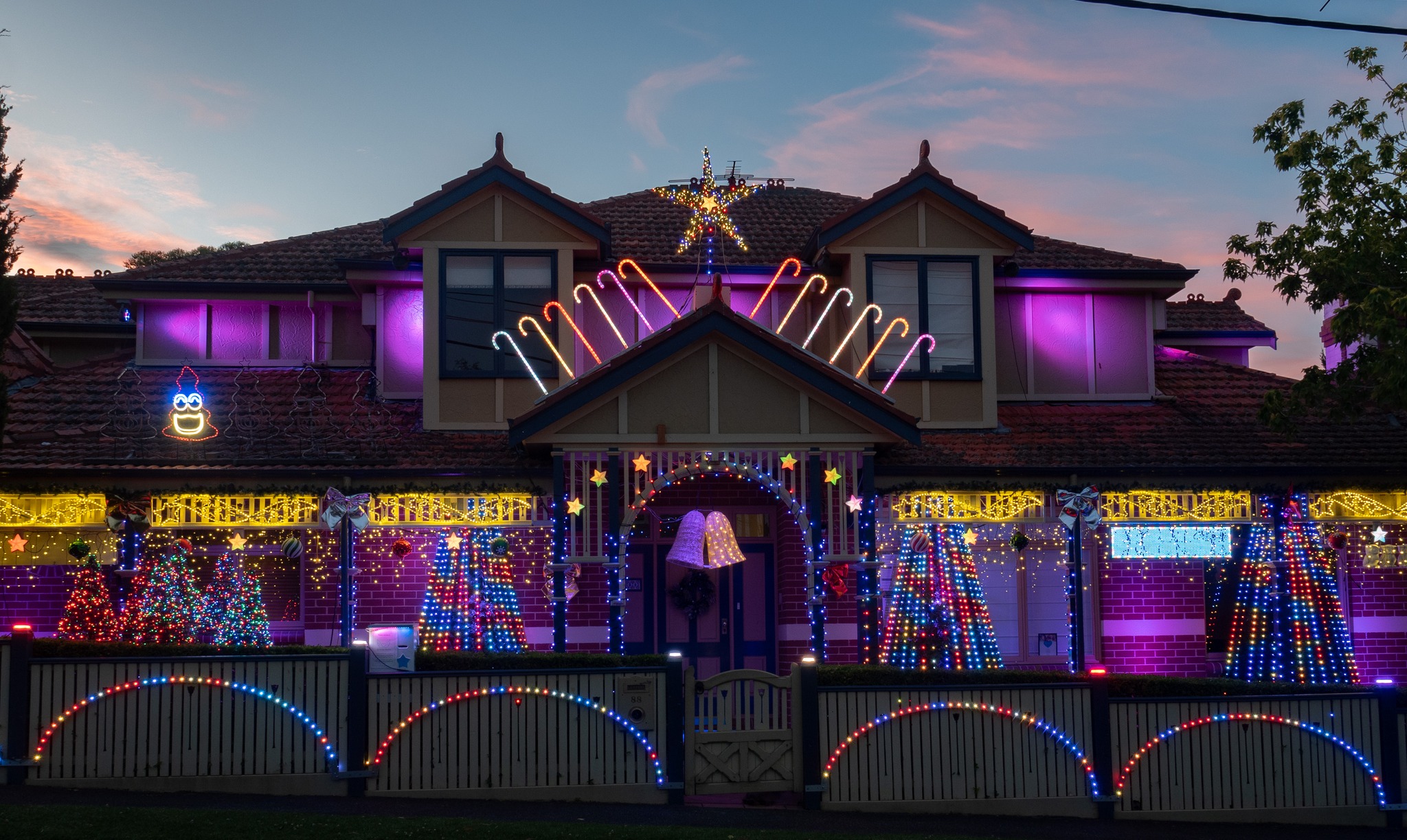Tuppets Christmas Lights, Kew 