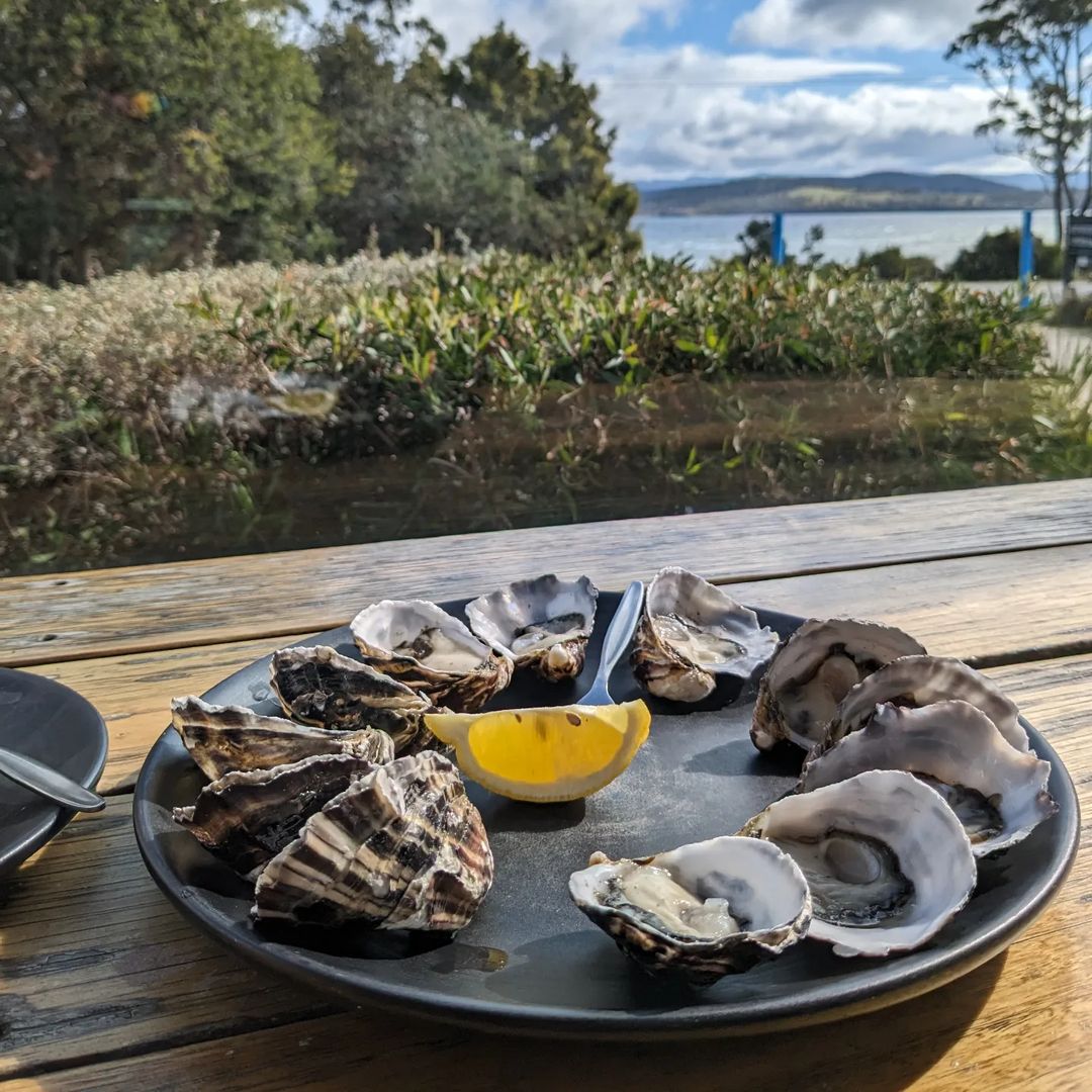 Get Shucked (Image Credit: Adam Gibson)