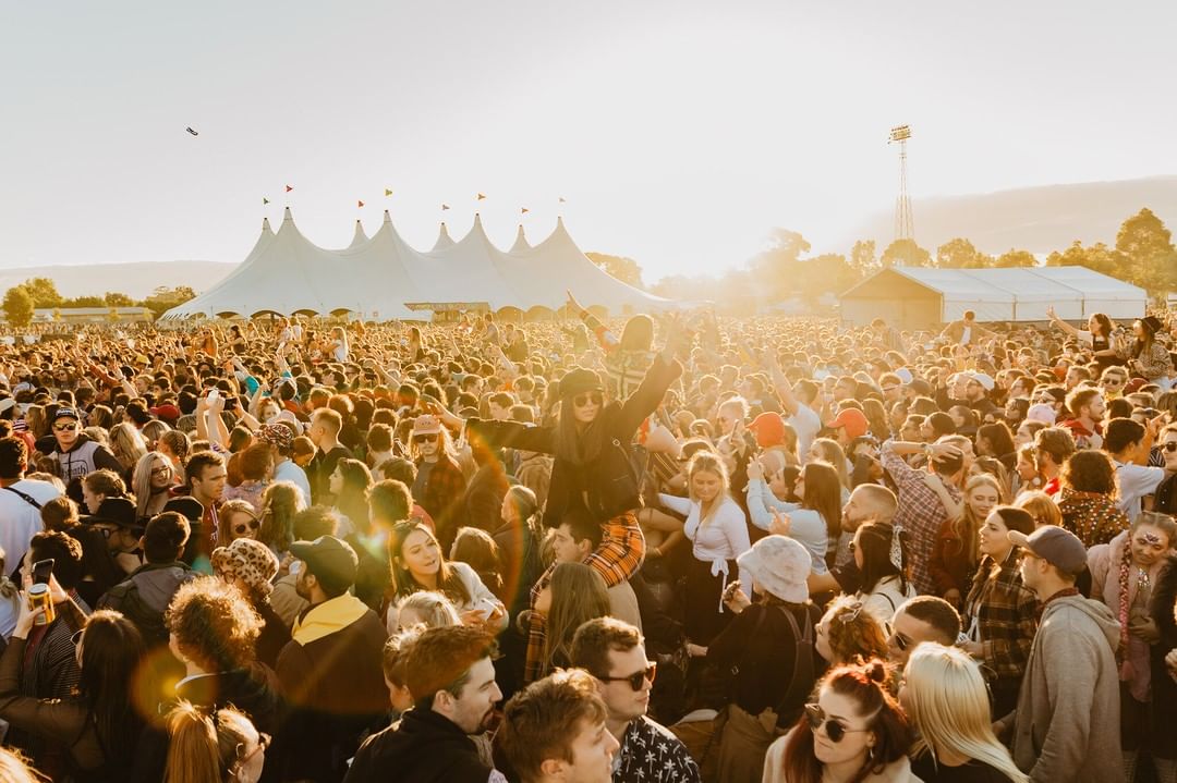 Groovin' The Moo