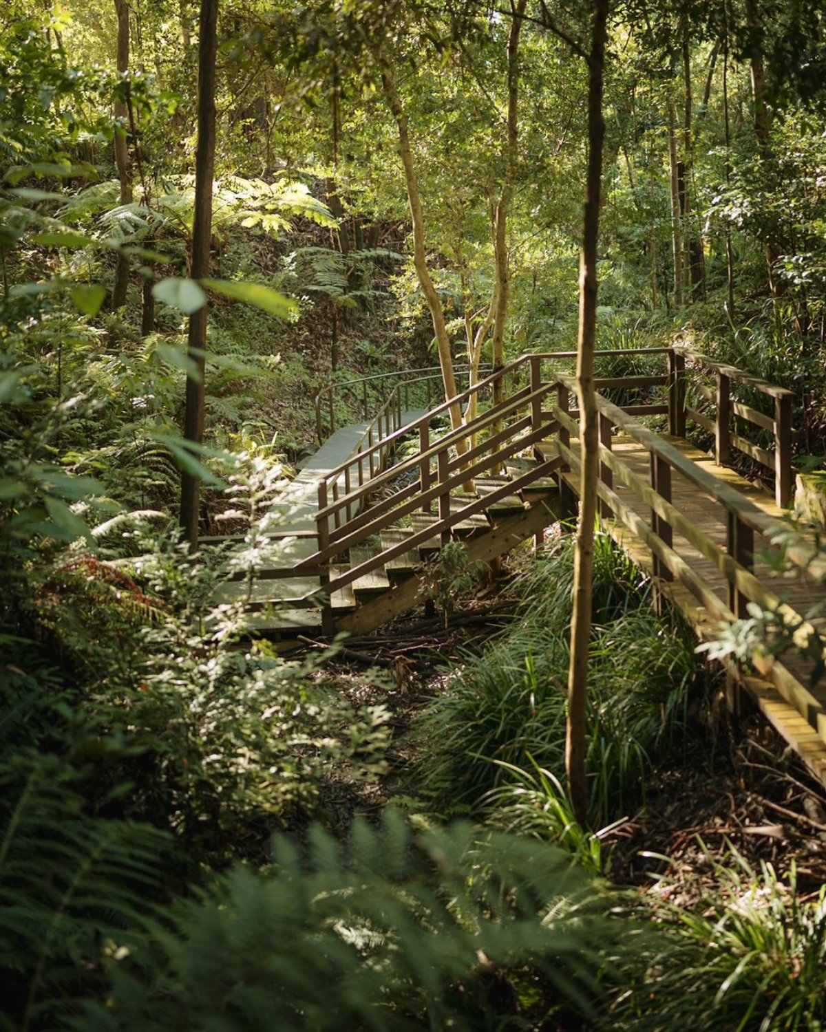 Australian National Botanic Gardens (Image Credit: @rich.pixel)