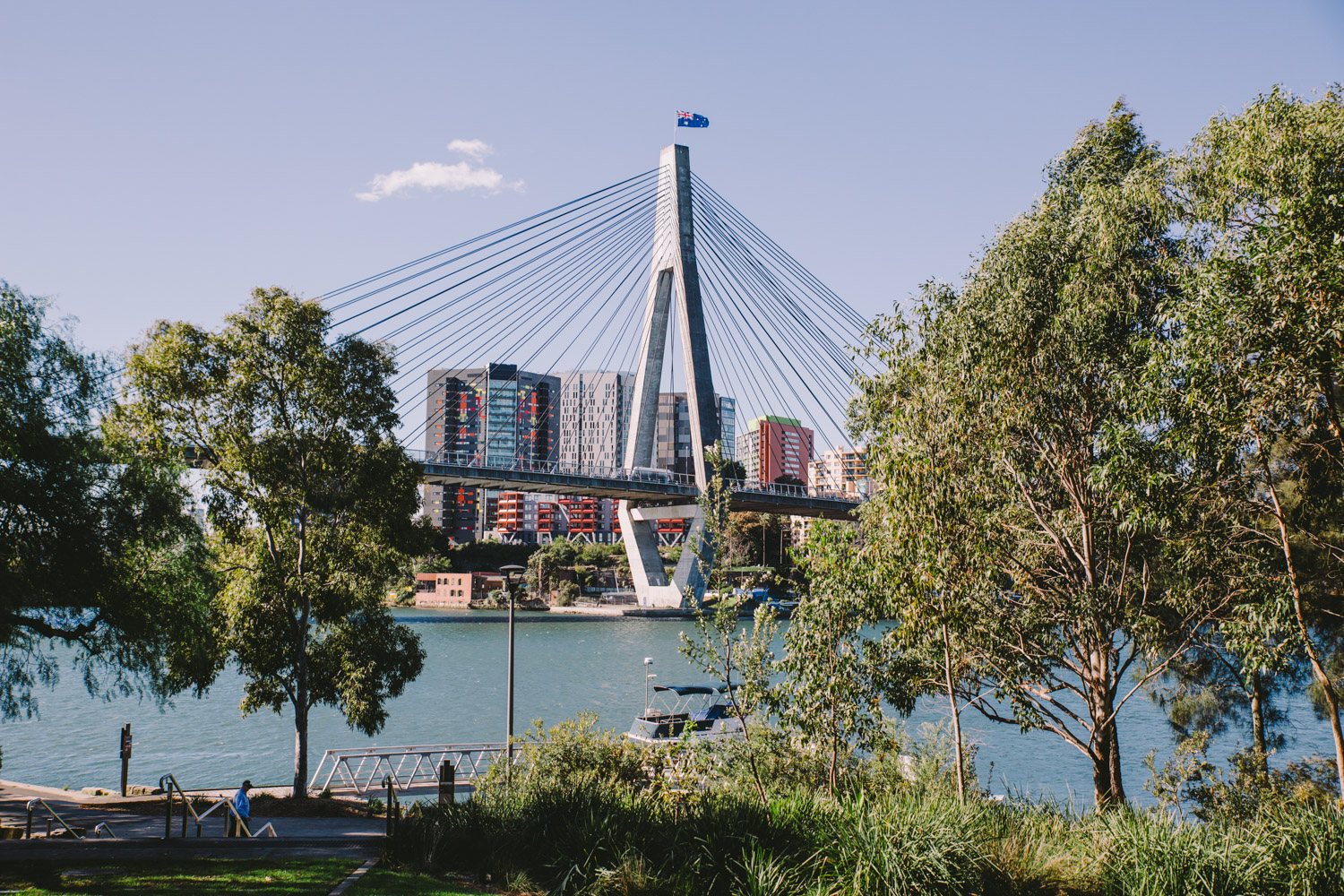 Blackwattle Bay Park