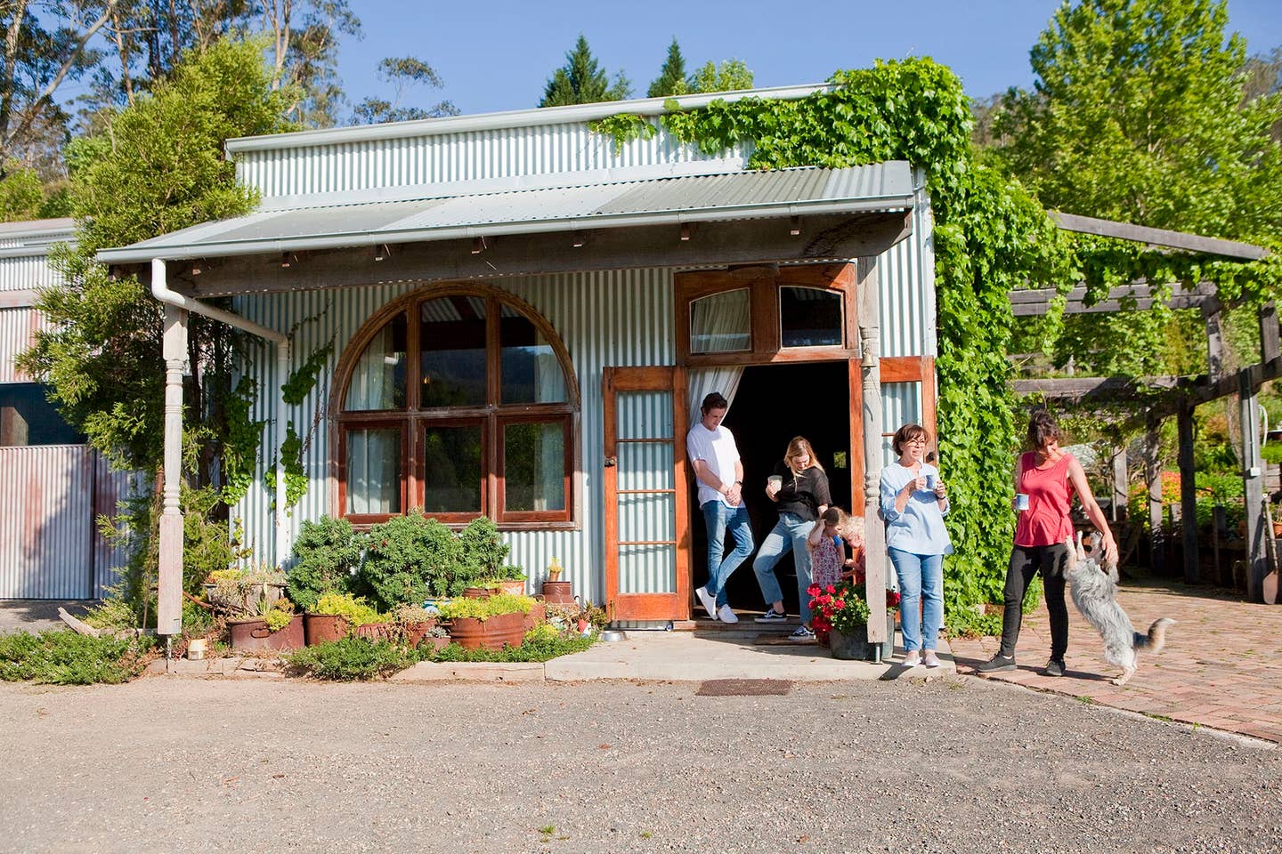 The Shed
