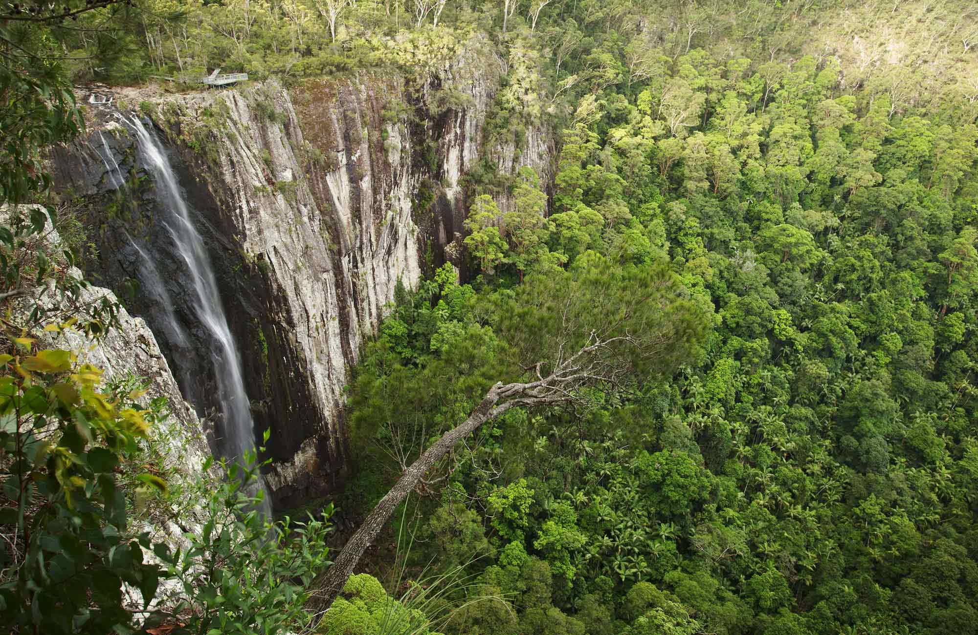 Nightcap National Park