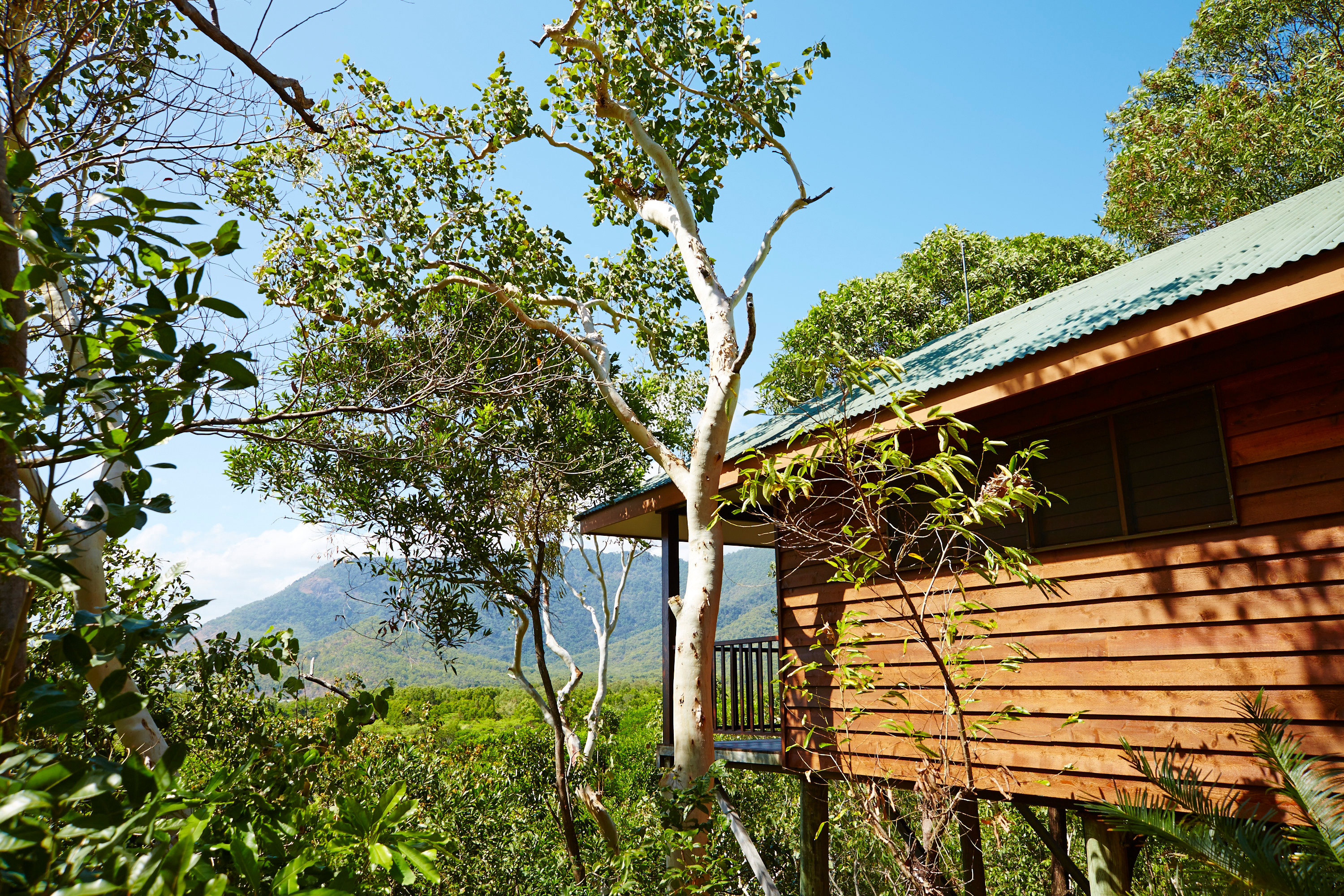 Thala Nature Reserve (Image Credit: Tourism Tropical North Queensland) 