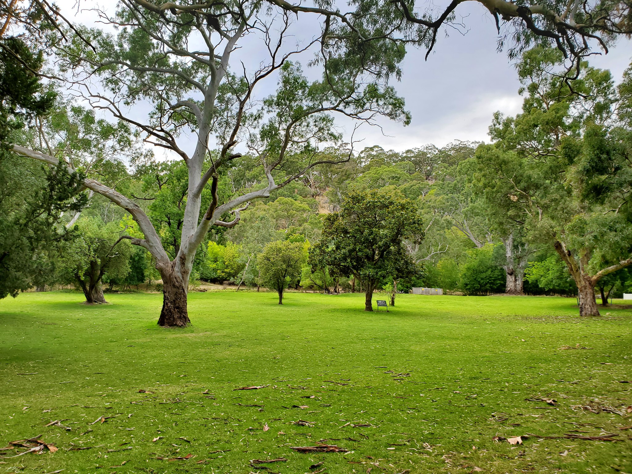 Belair National Park