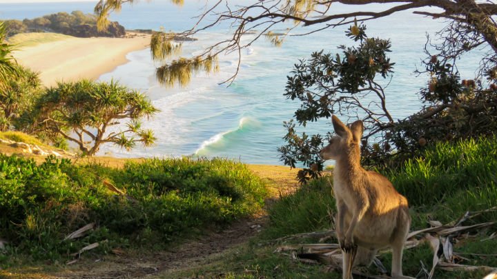 Stradbroke Island