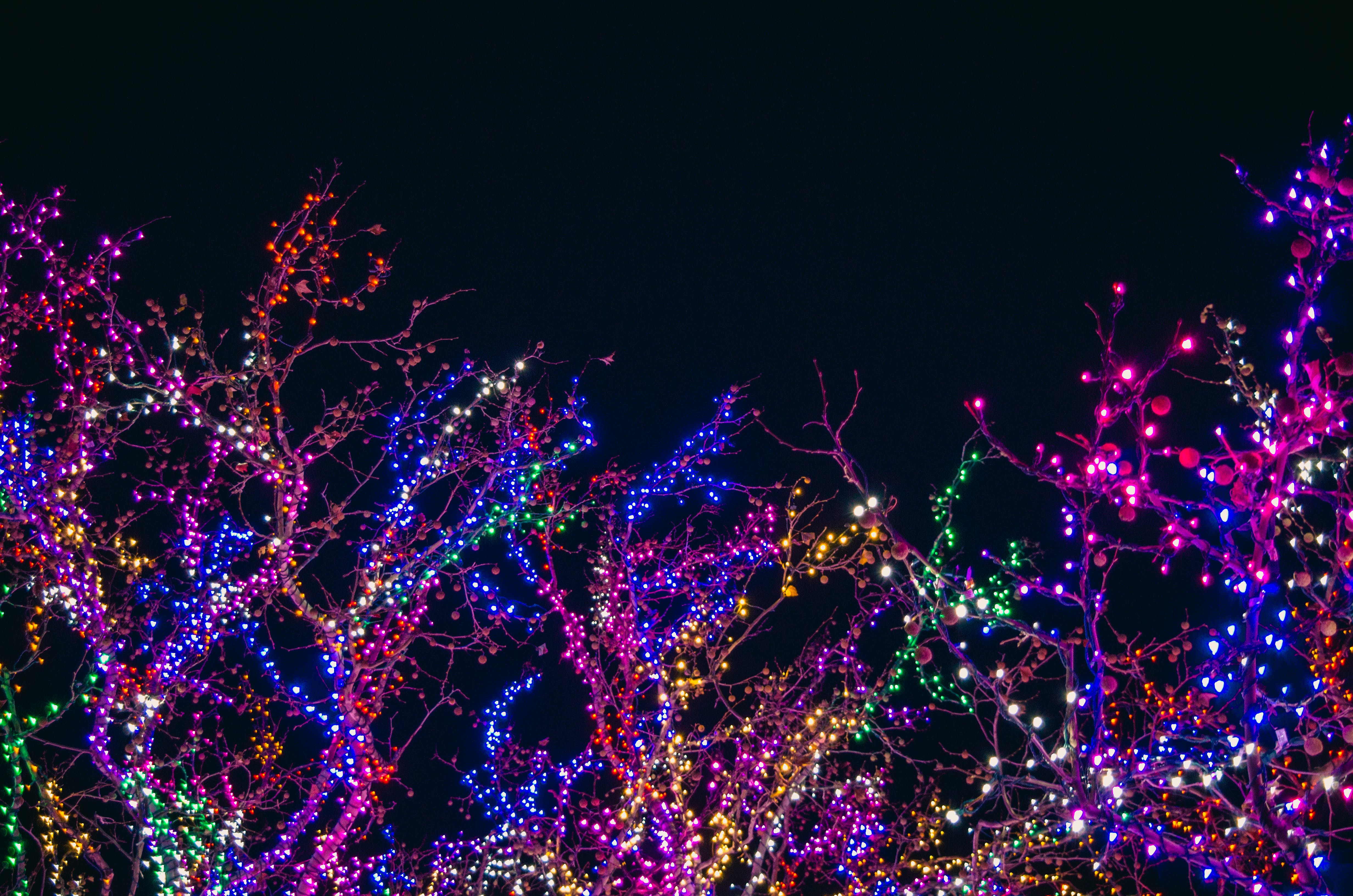 Canberra Christmas Lights