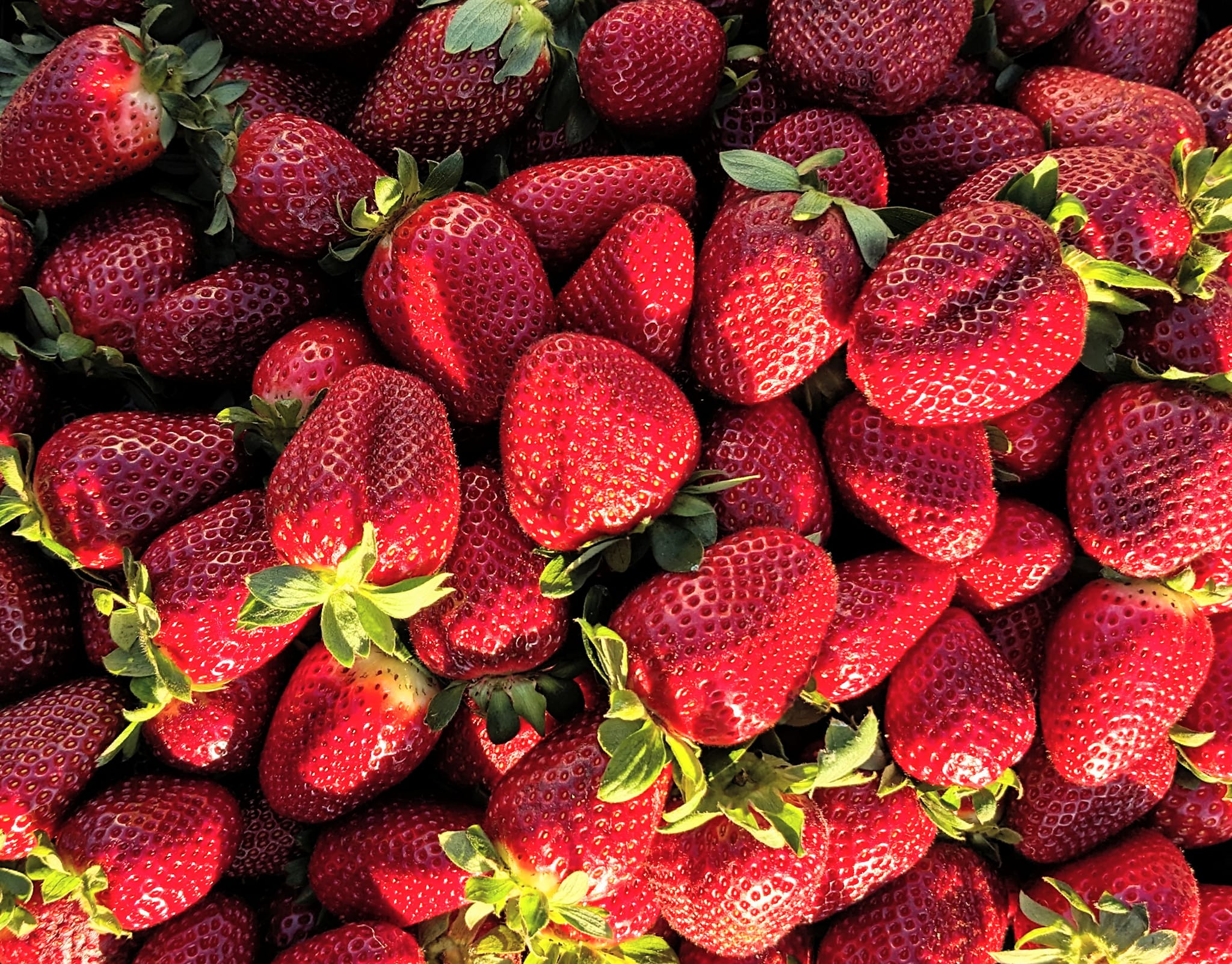 Thomas Le Strawberries 