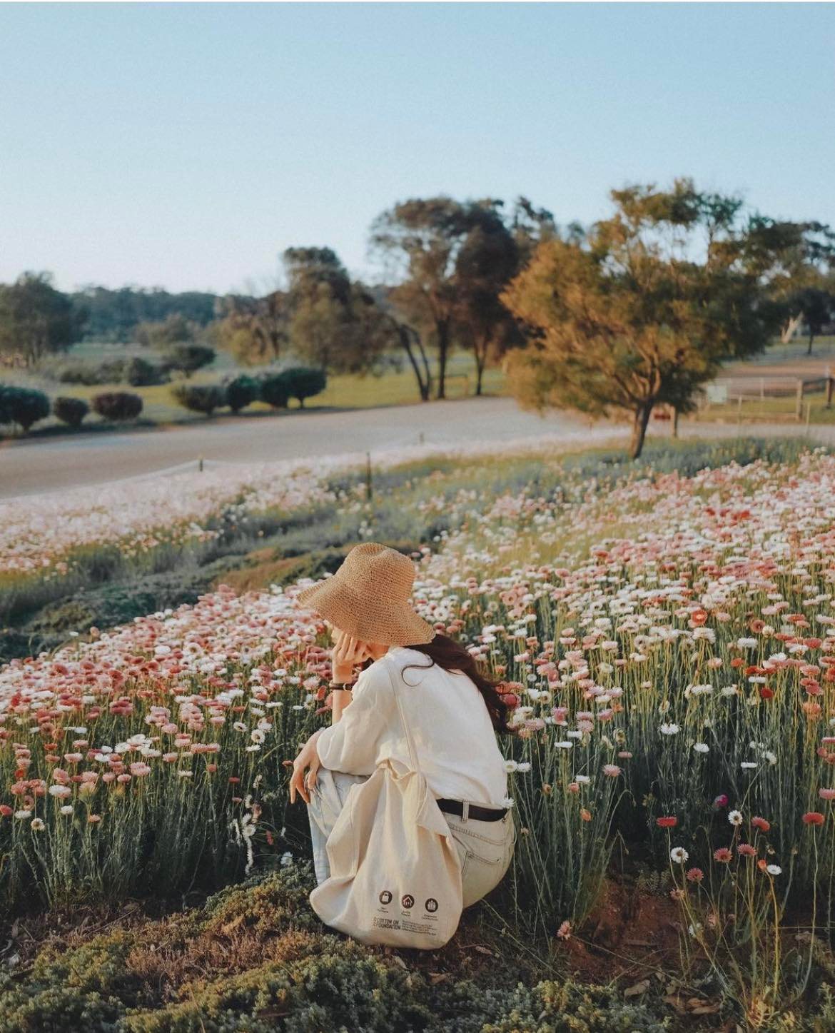 York Flower Fields (Image Credit: Experience York Western Australia)