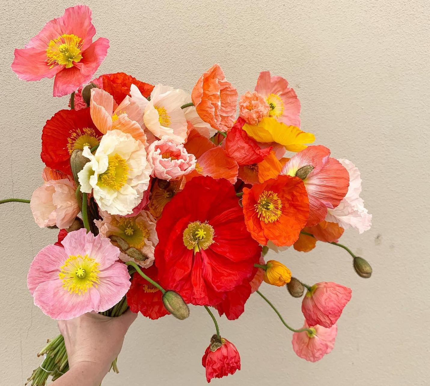 Flour and Bloom