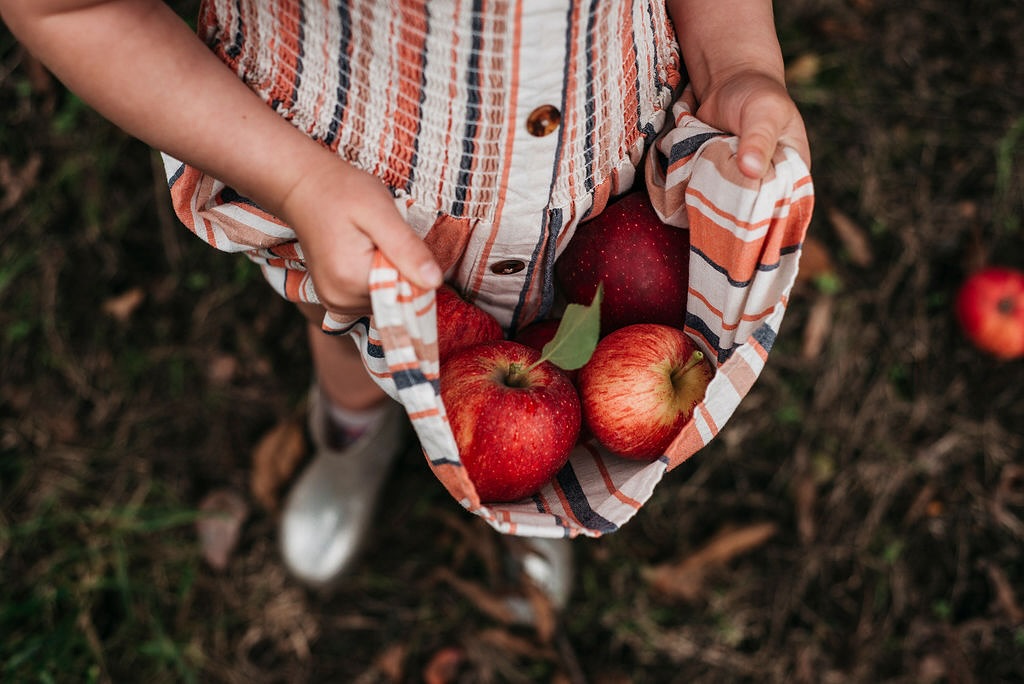 Glenbernie Orchard (Image Credit: Sasha Faint Photography)