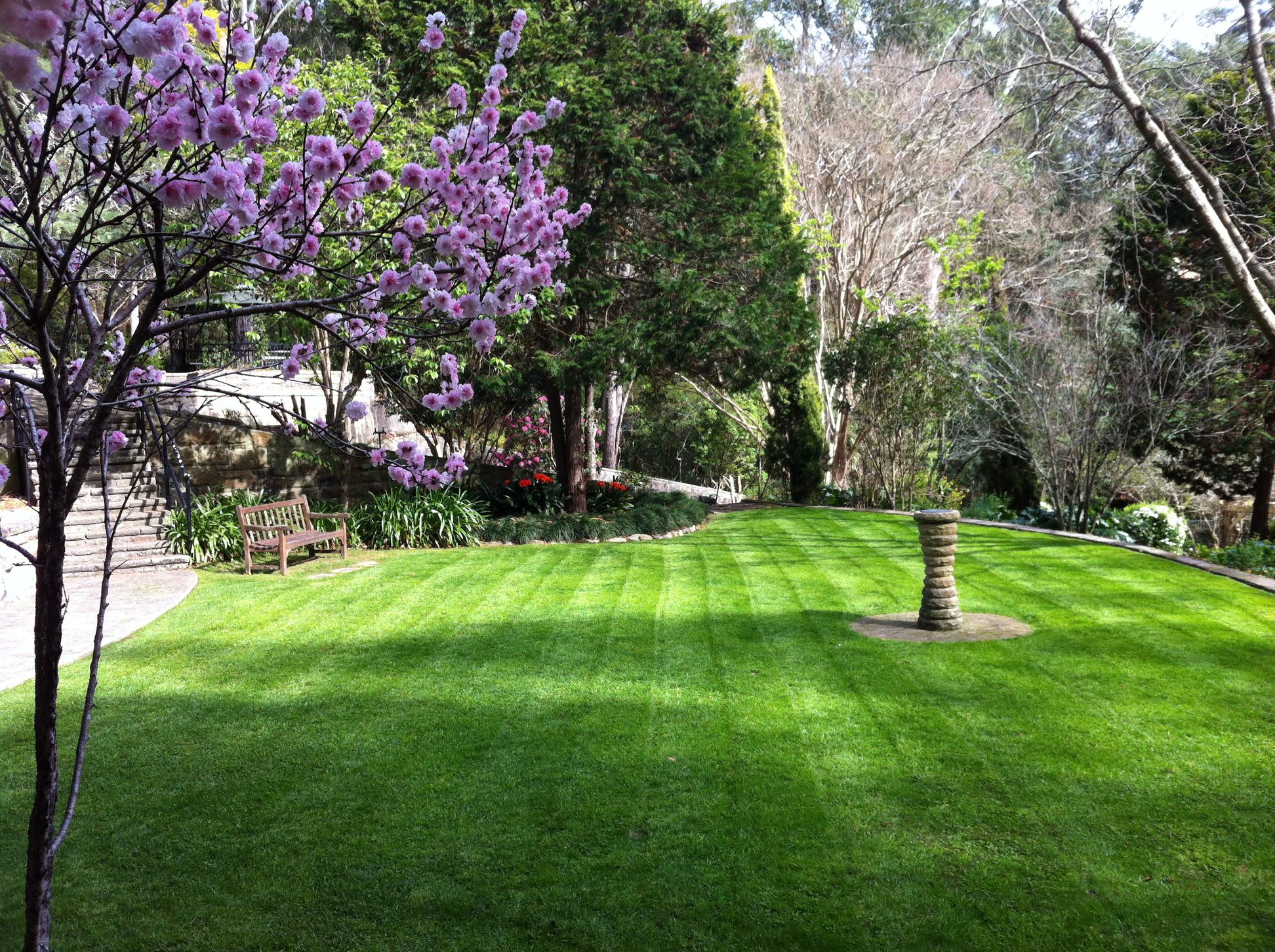 Swain Gardens (Photo credit: Ku-ring-gai Council)