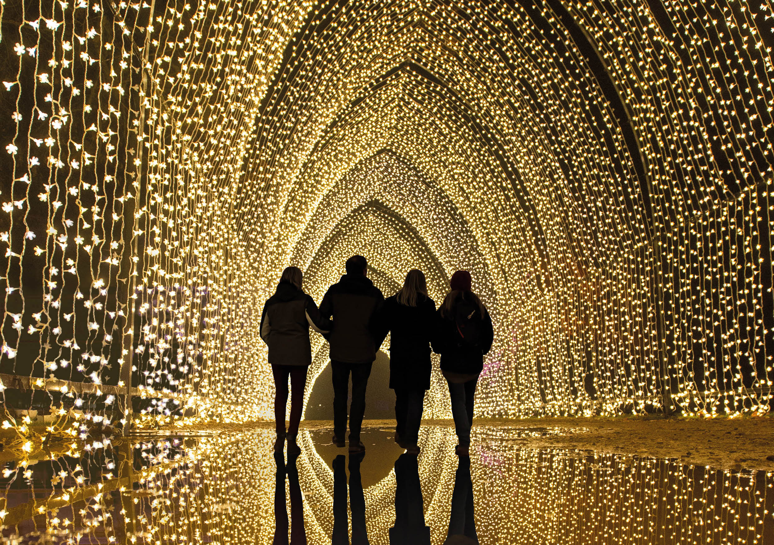 Lightscape