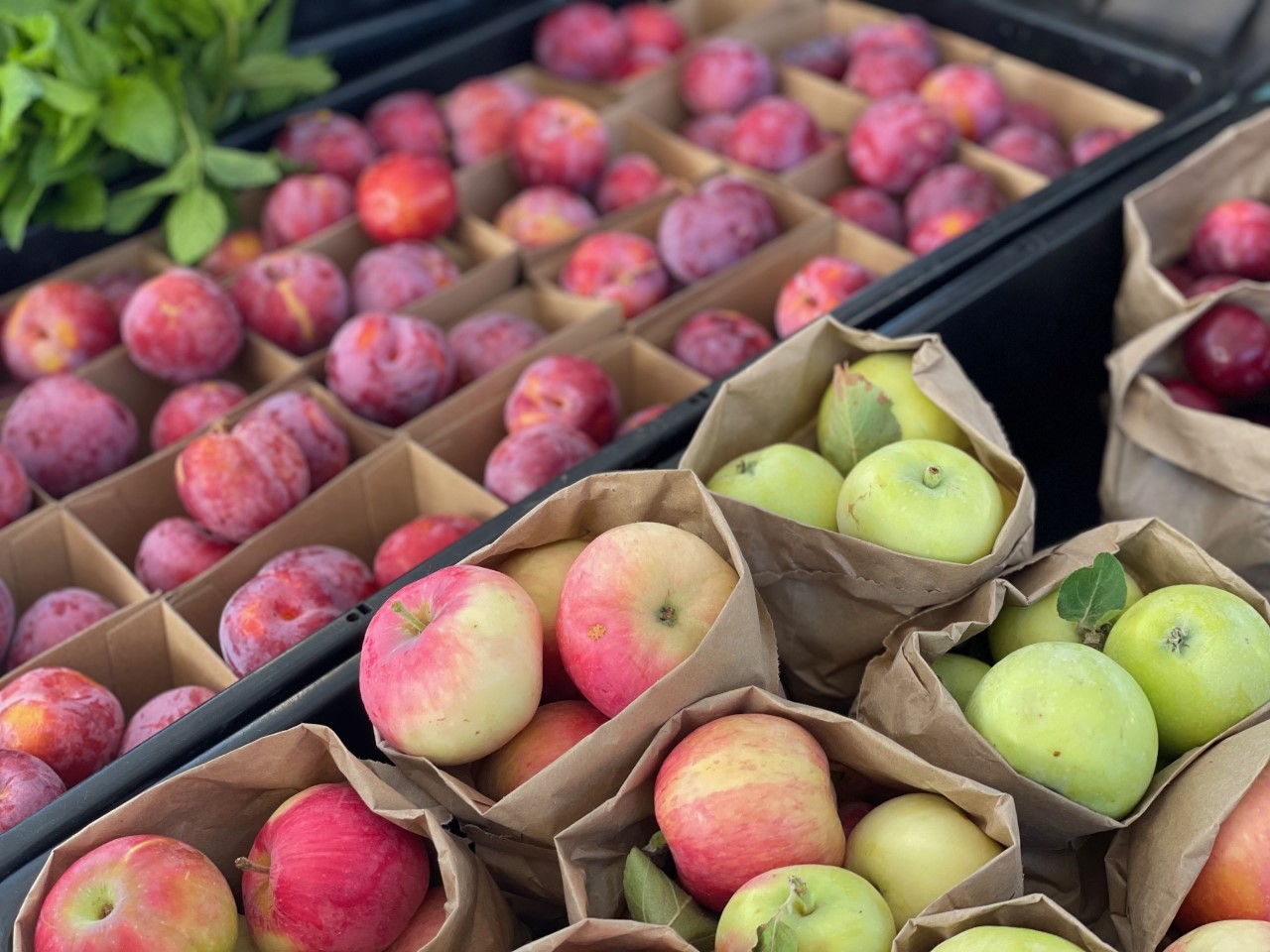 Adelaide Farmers Market