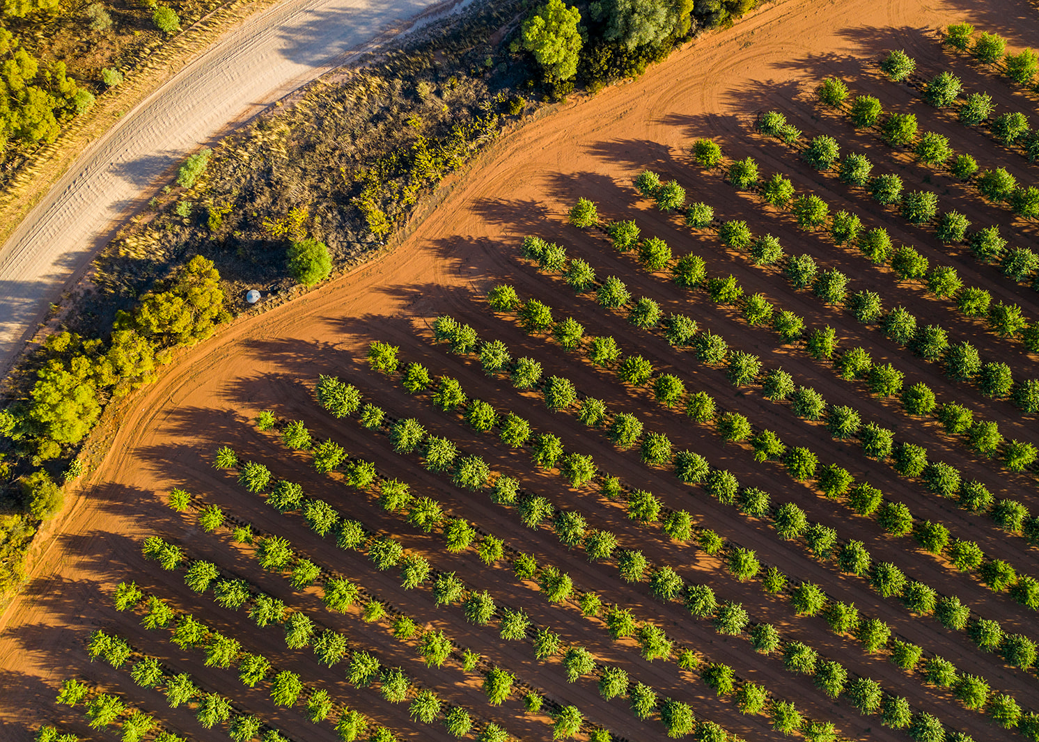 Griffith (Image Credit: Visit Griffith) 