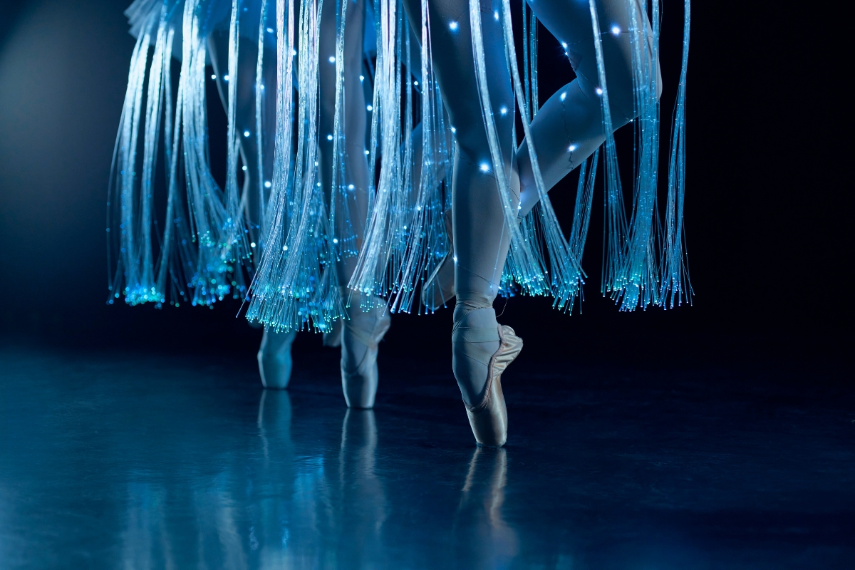‘We Call It Ballet: Sleeping Beauty’ 