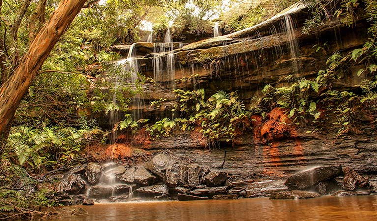 Girrakool Loop Track (Image Credit: National Parks NSW)