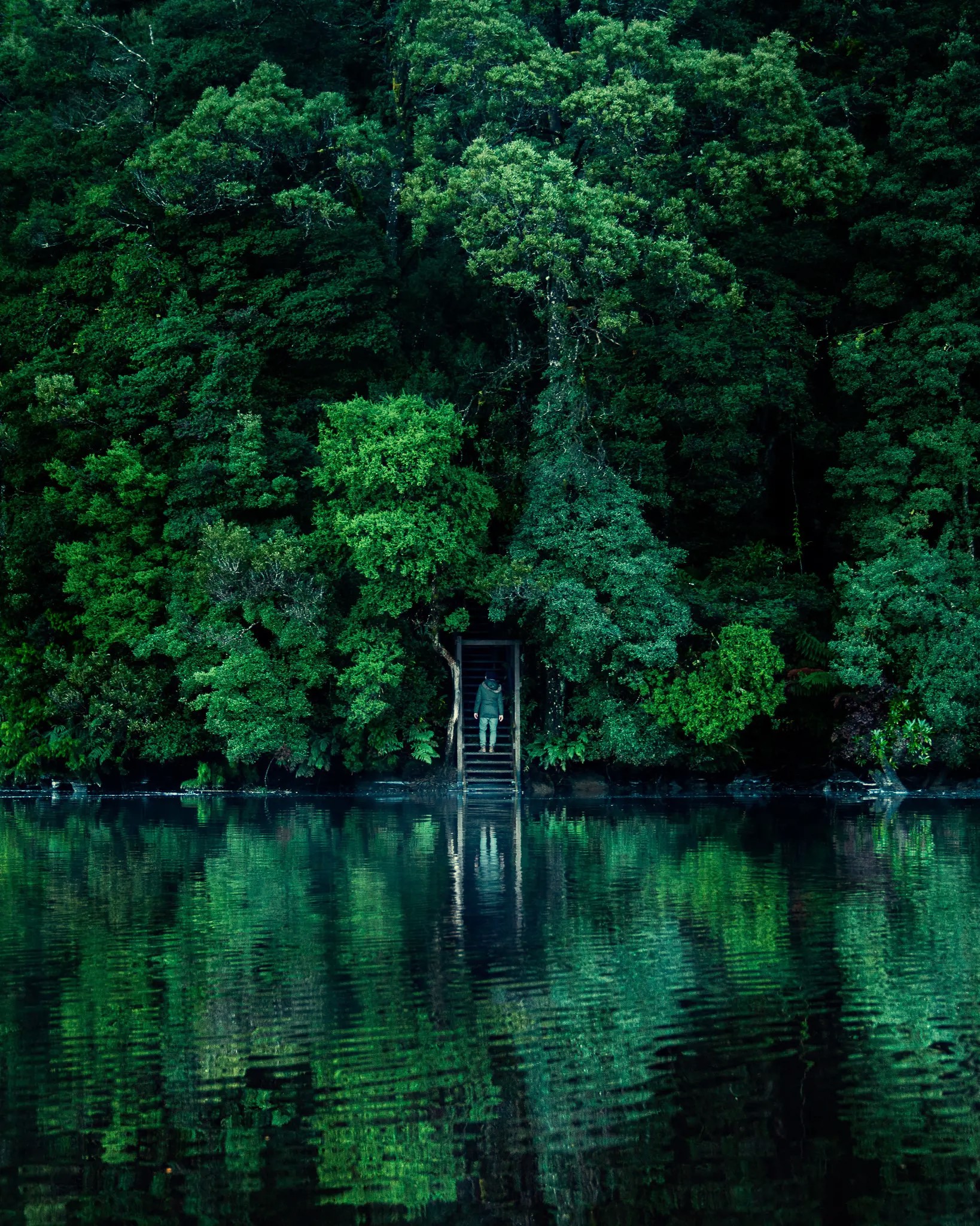Lovers Falls (Image Credit: Discover Tasmania - Rob Mulally)