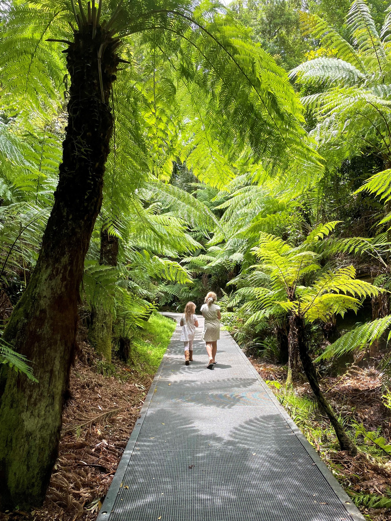 Australian National Botanic Gardens