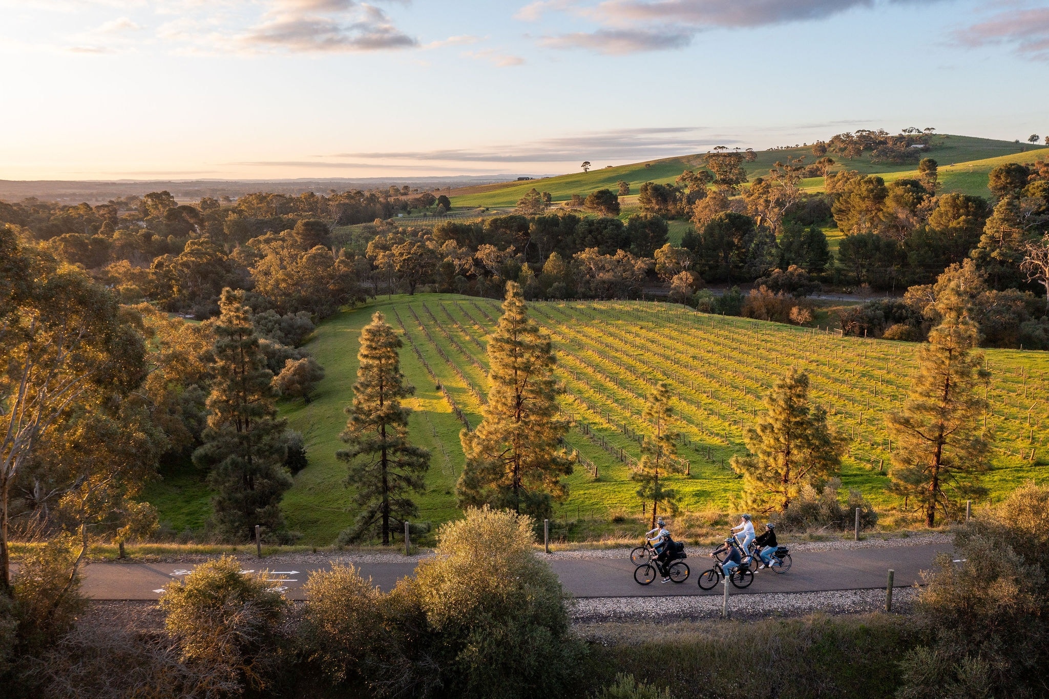 E-Bike Tour