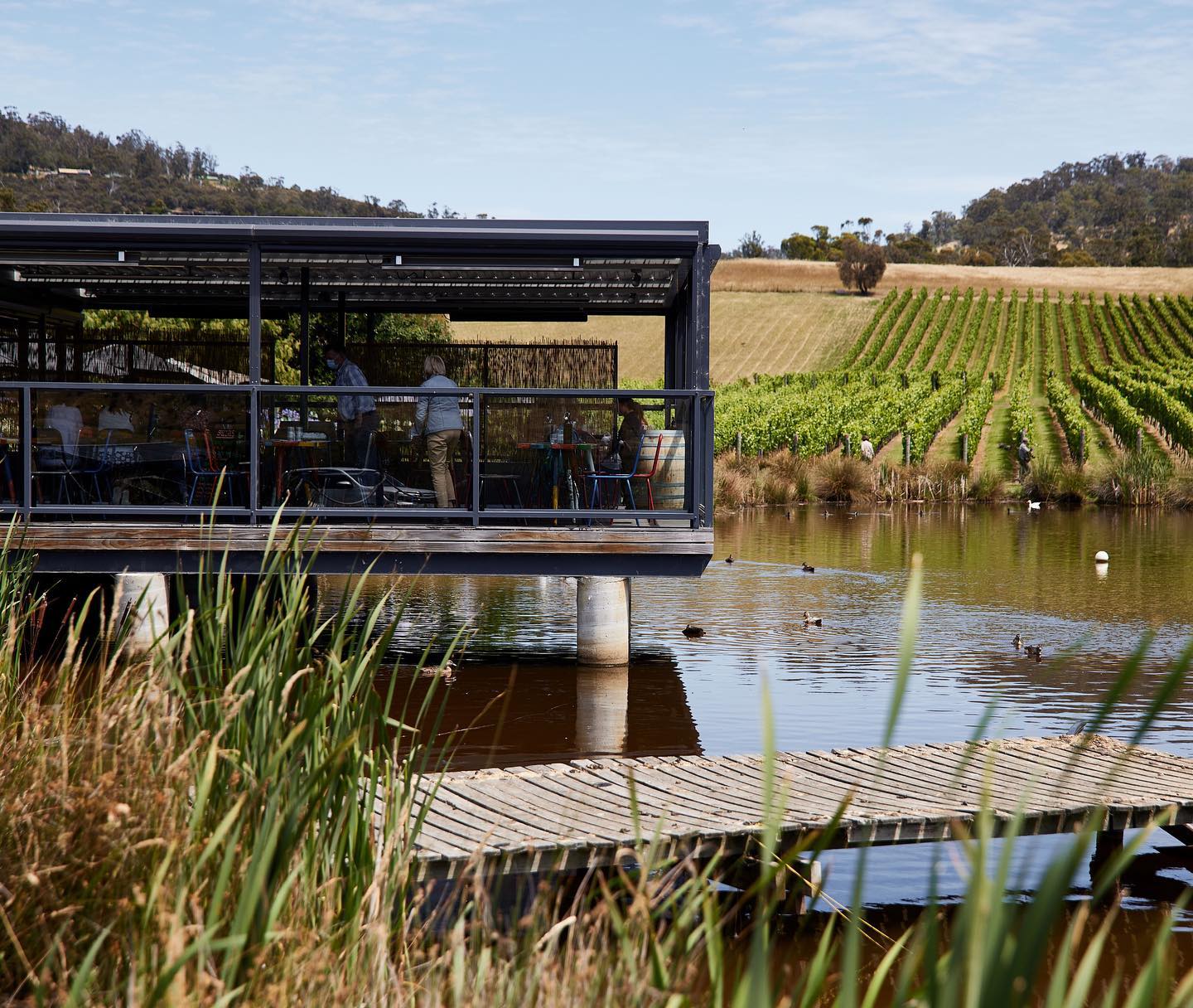 Puddleduck Vineyard