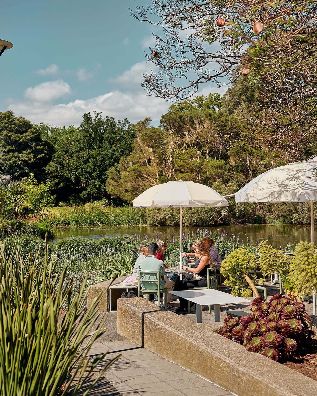 Terrace Cafe at Royal Botanic Gardens