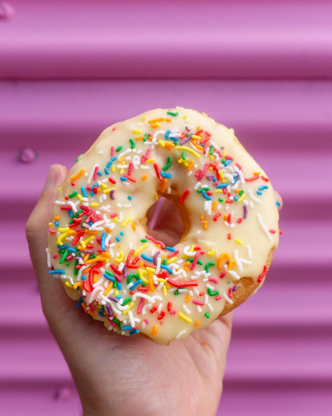 Grumpy Donuts 